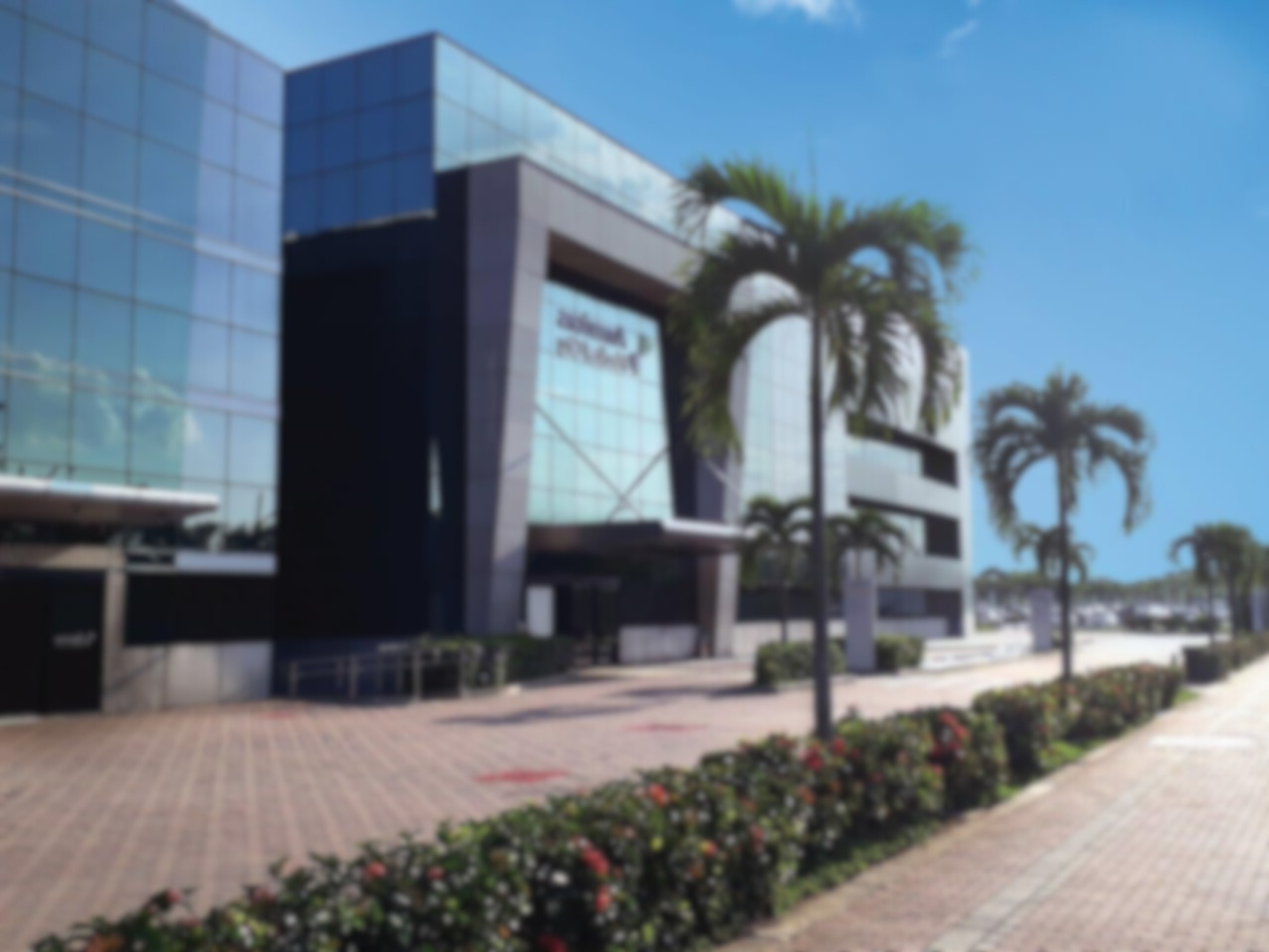 black and white bed linen