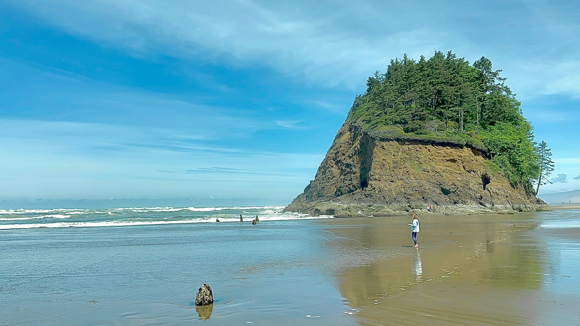 black and white bed linen
