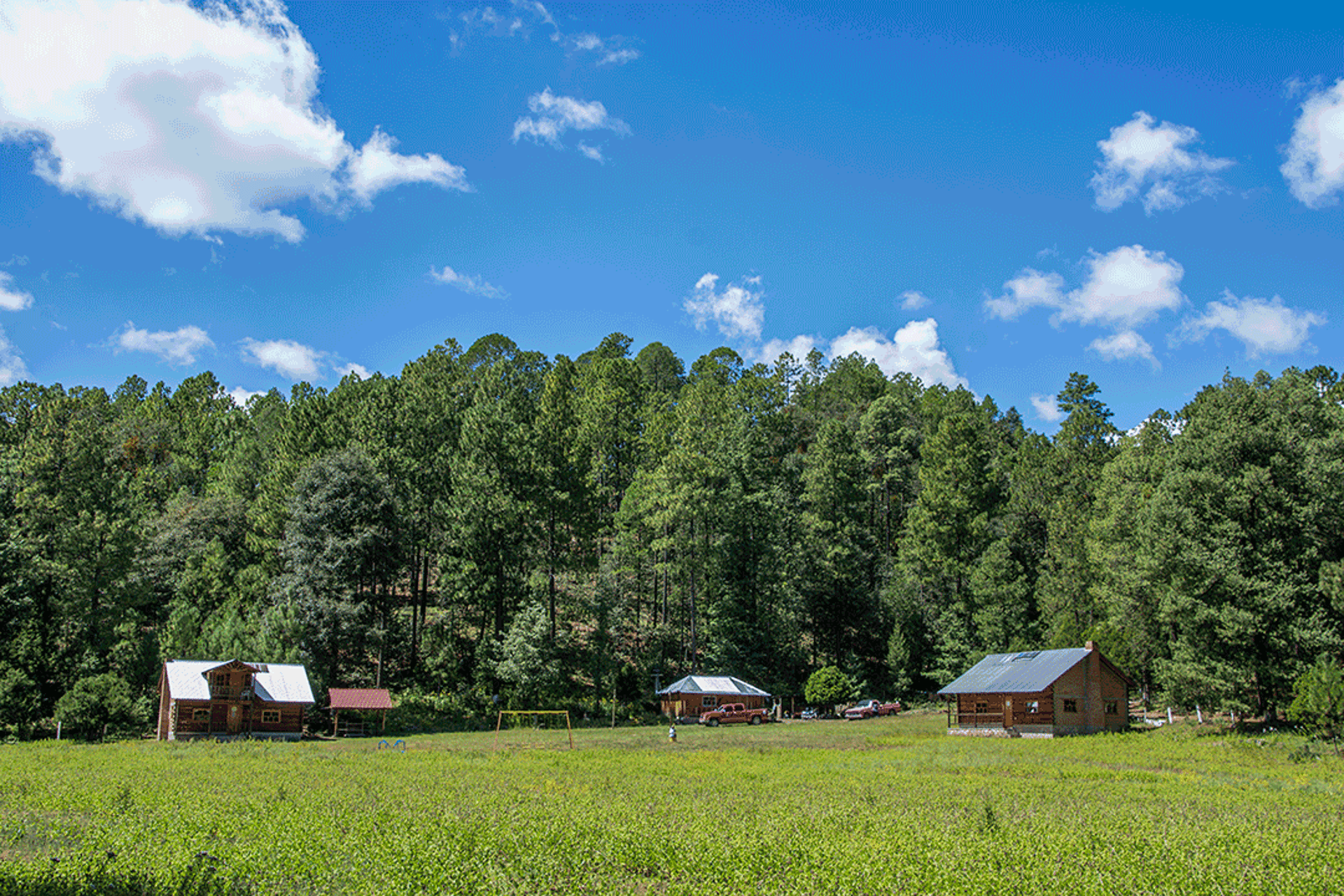 brown wooden house near lake surrounded by green trees during daytime