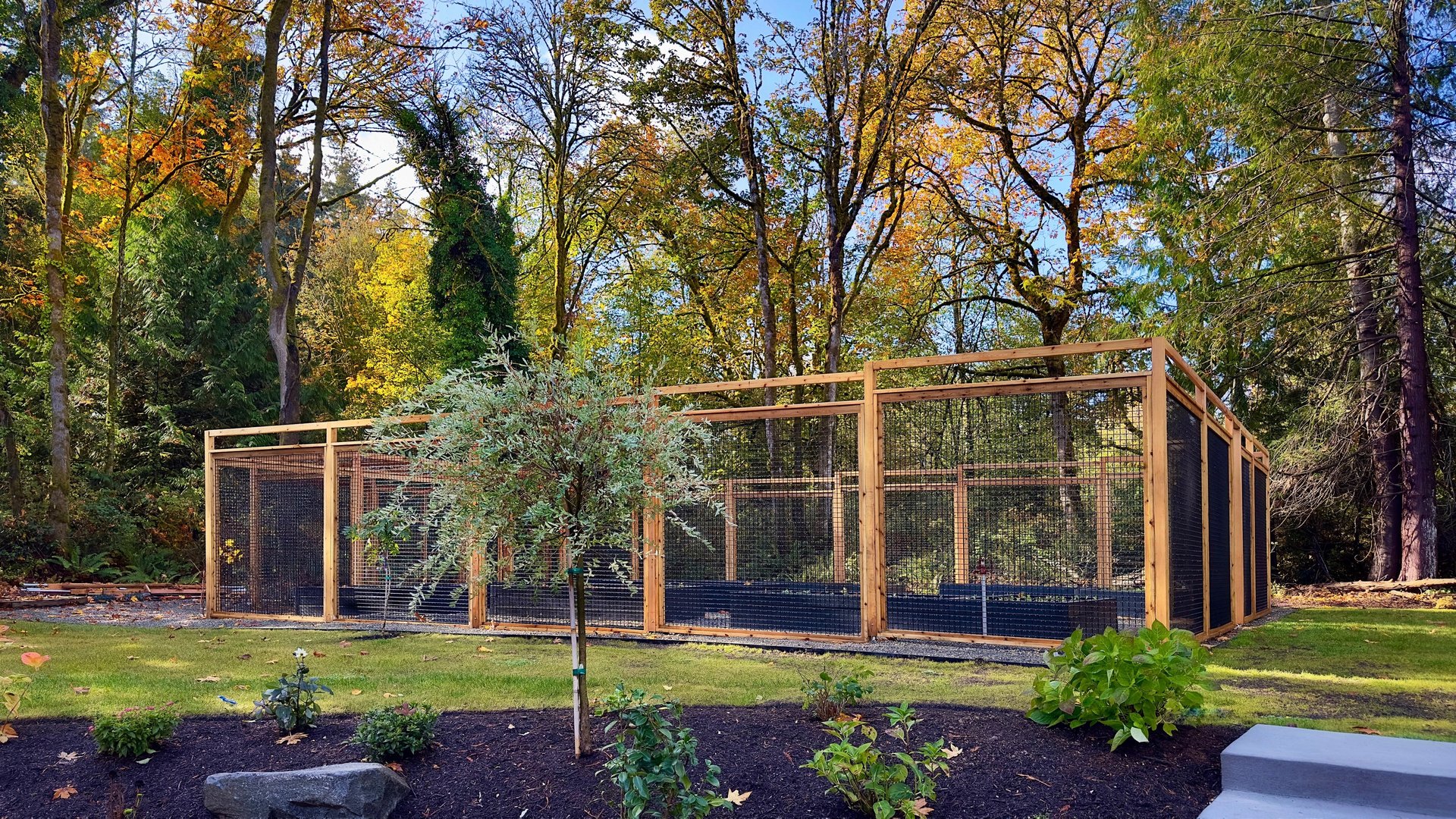 brown wooden fence under blue sky during daytime