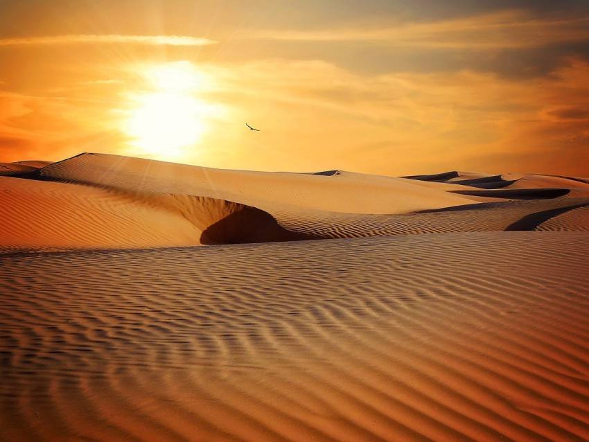 desert Agafay Marrakech excursion voyahe