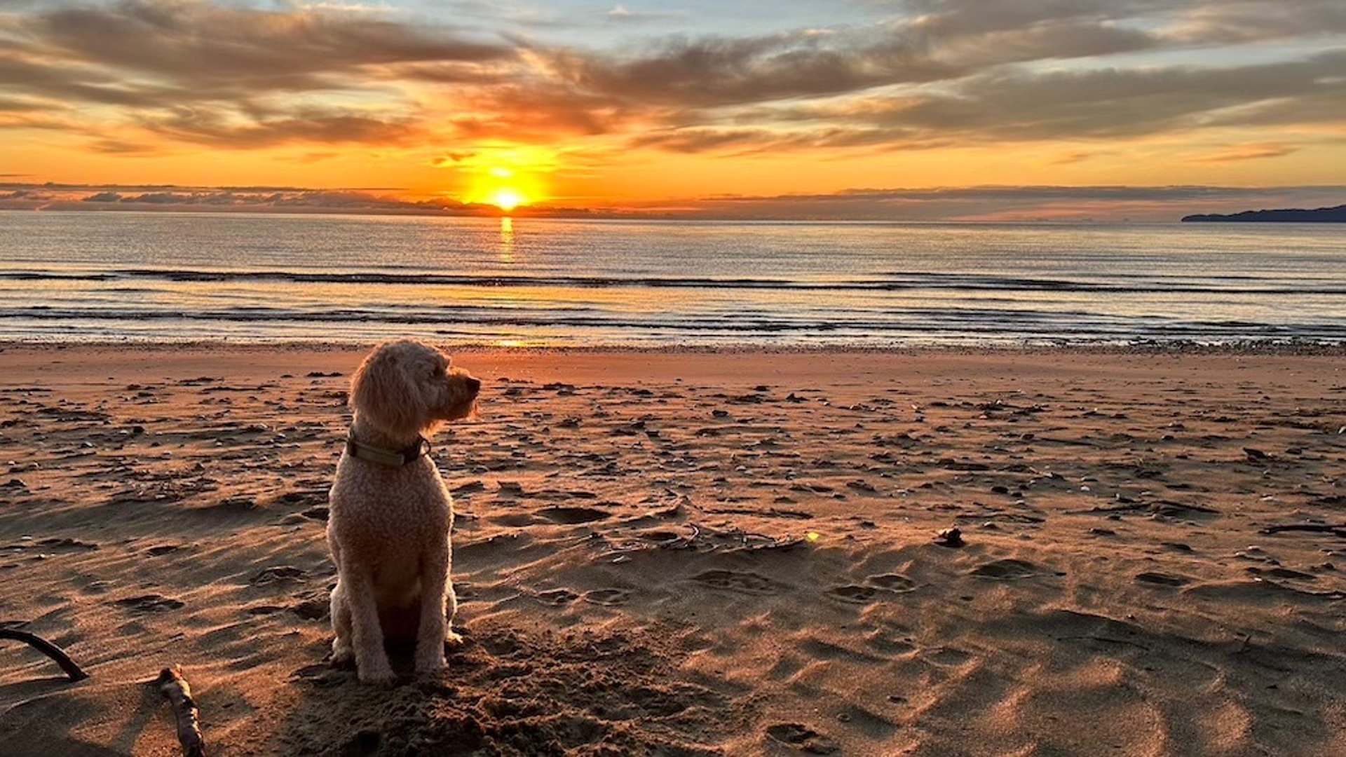 mountain range under blue sky