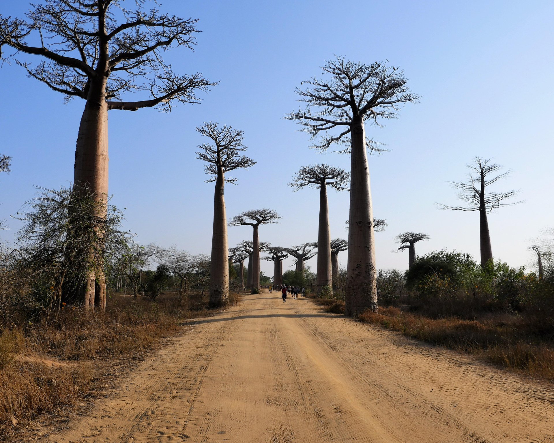 Logo JAO malagasy artisanal