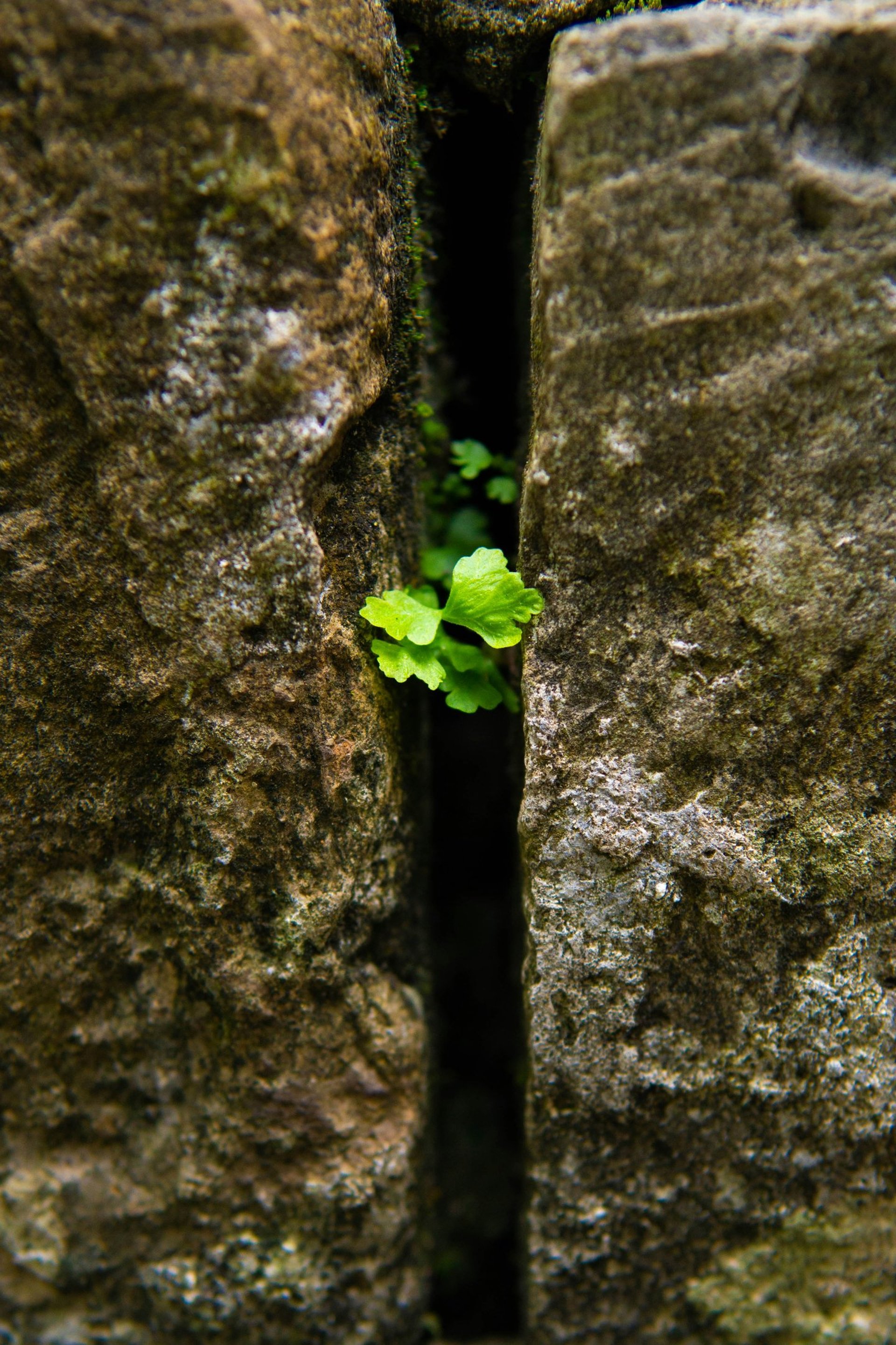 A window in a stone wall with a view of a mountain range