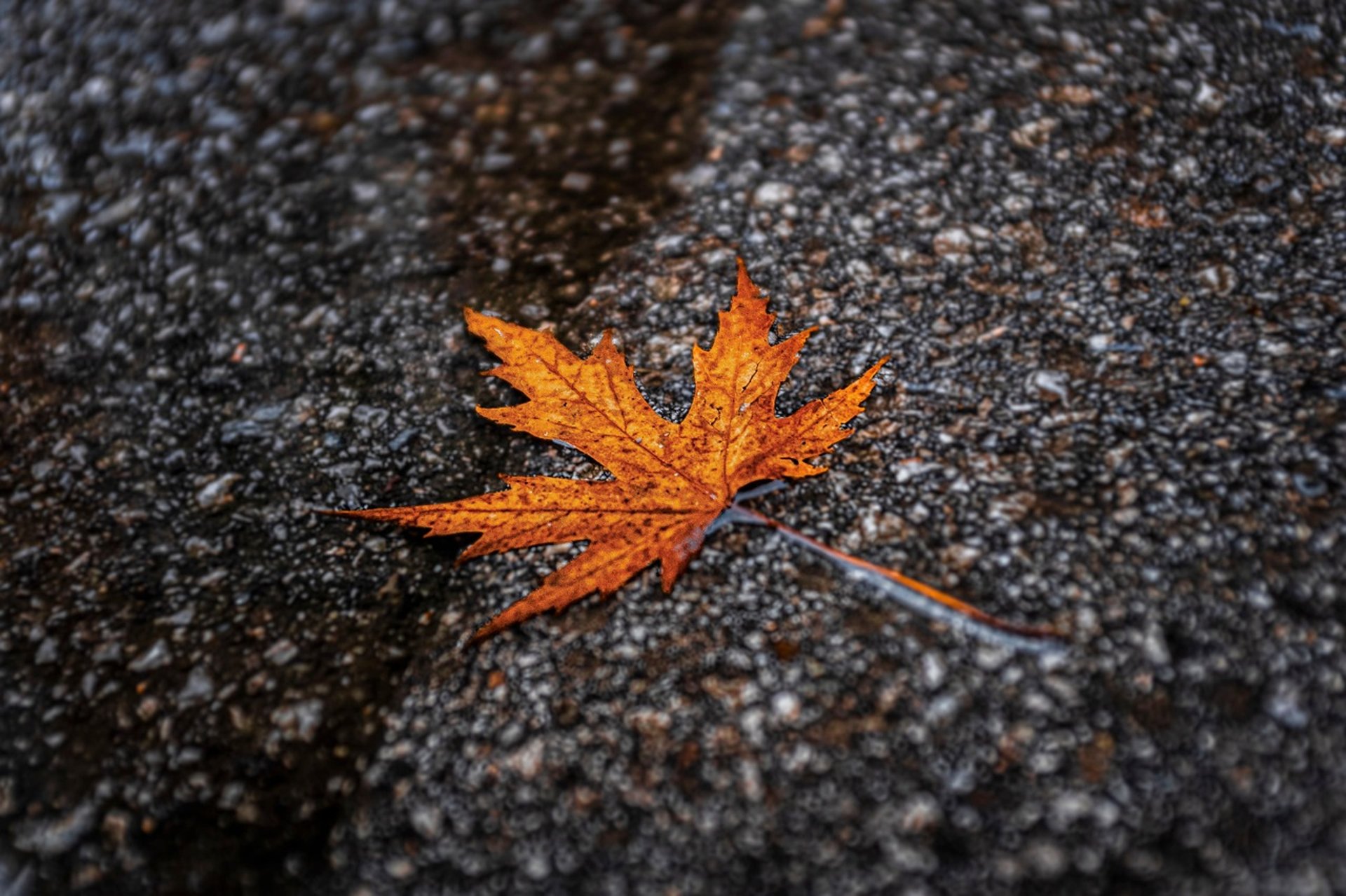 green trees near glass building during daytime