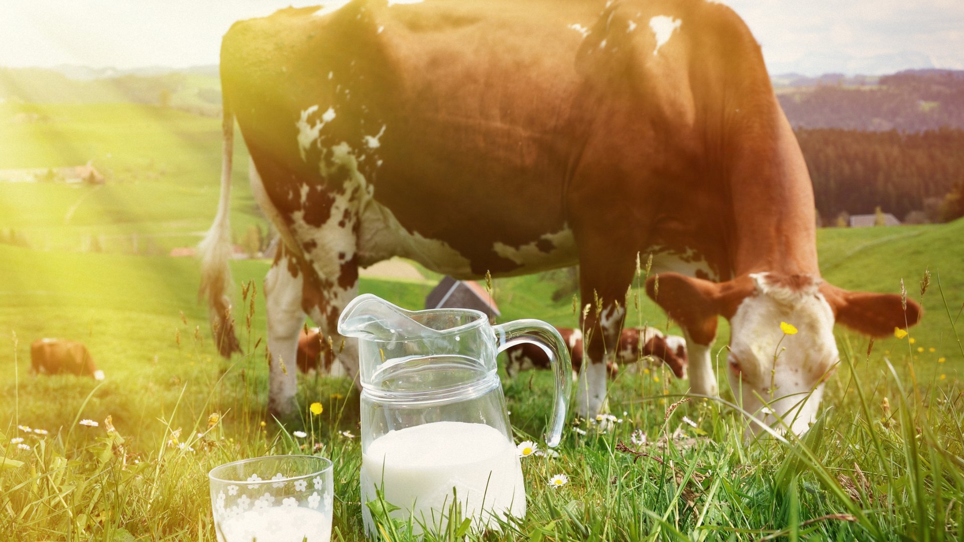 person wearing grey knit sweater