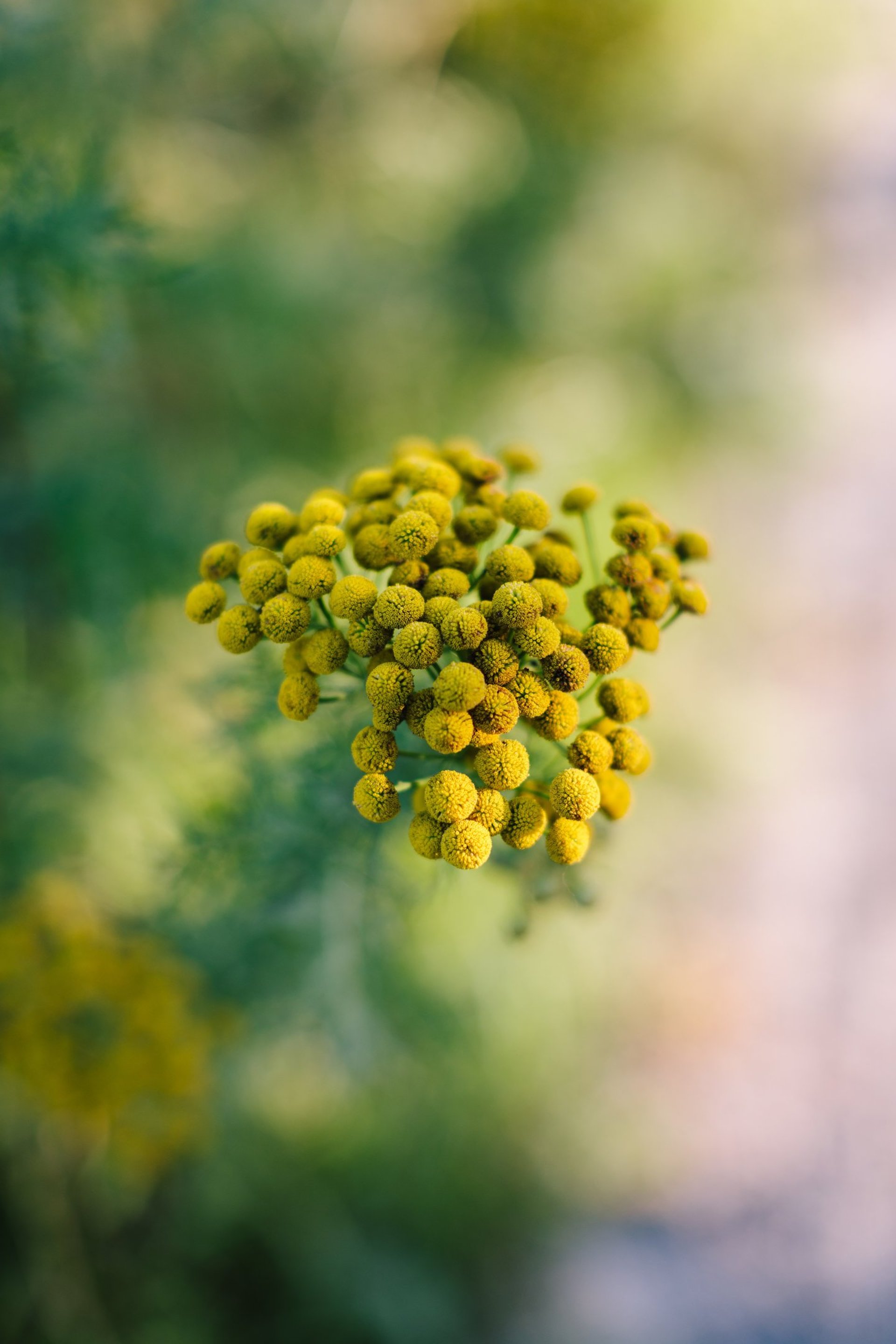 green grass field under cloudy sky during daytime