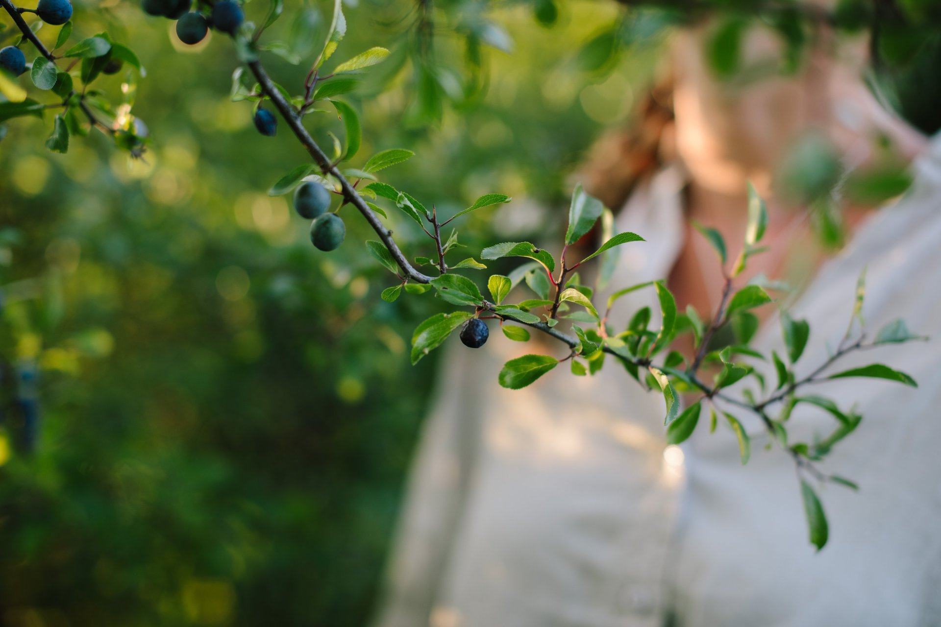 black blue and yellow textile