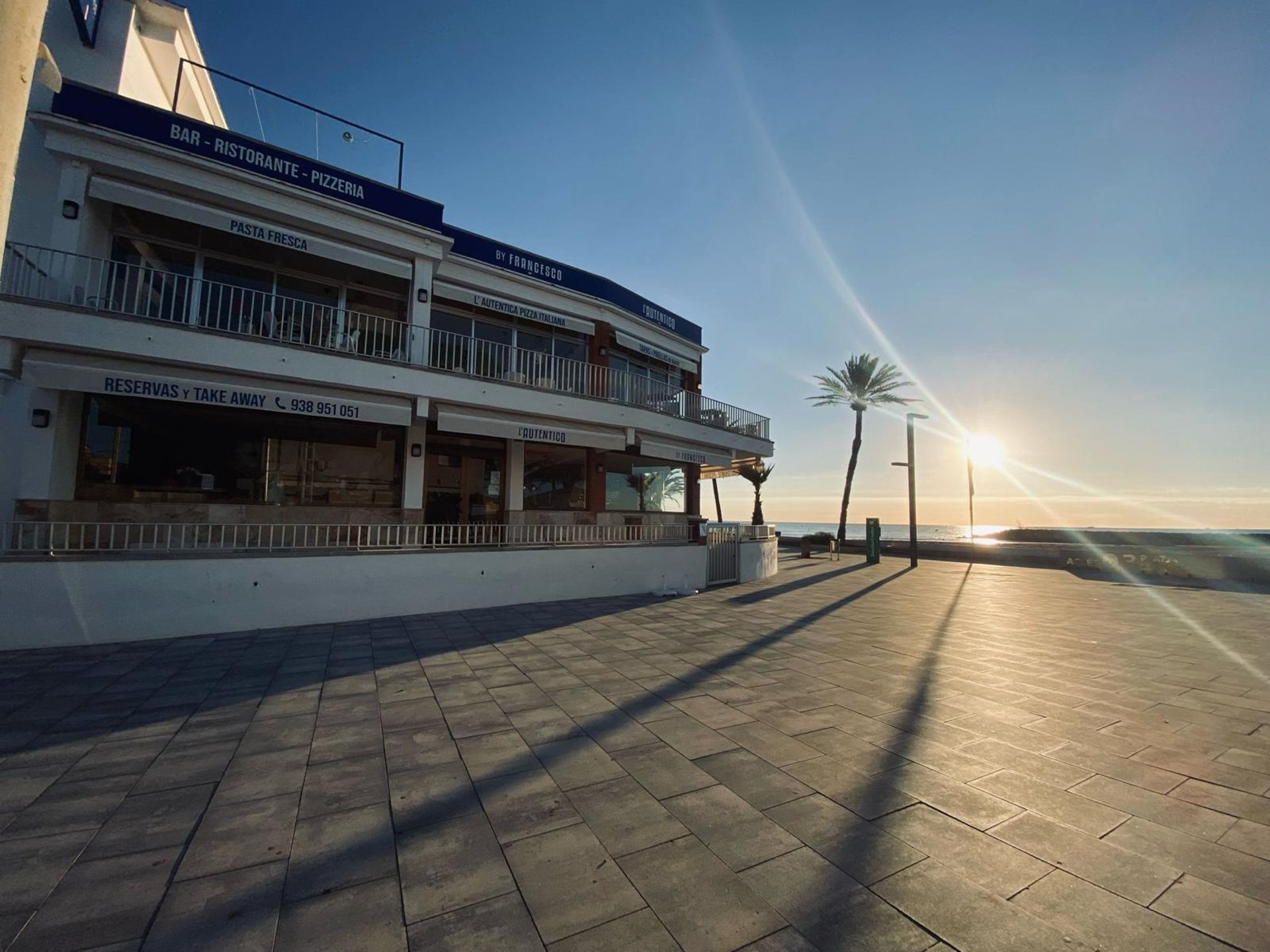 yellow flower petals in close up photography