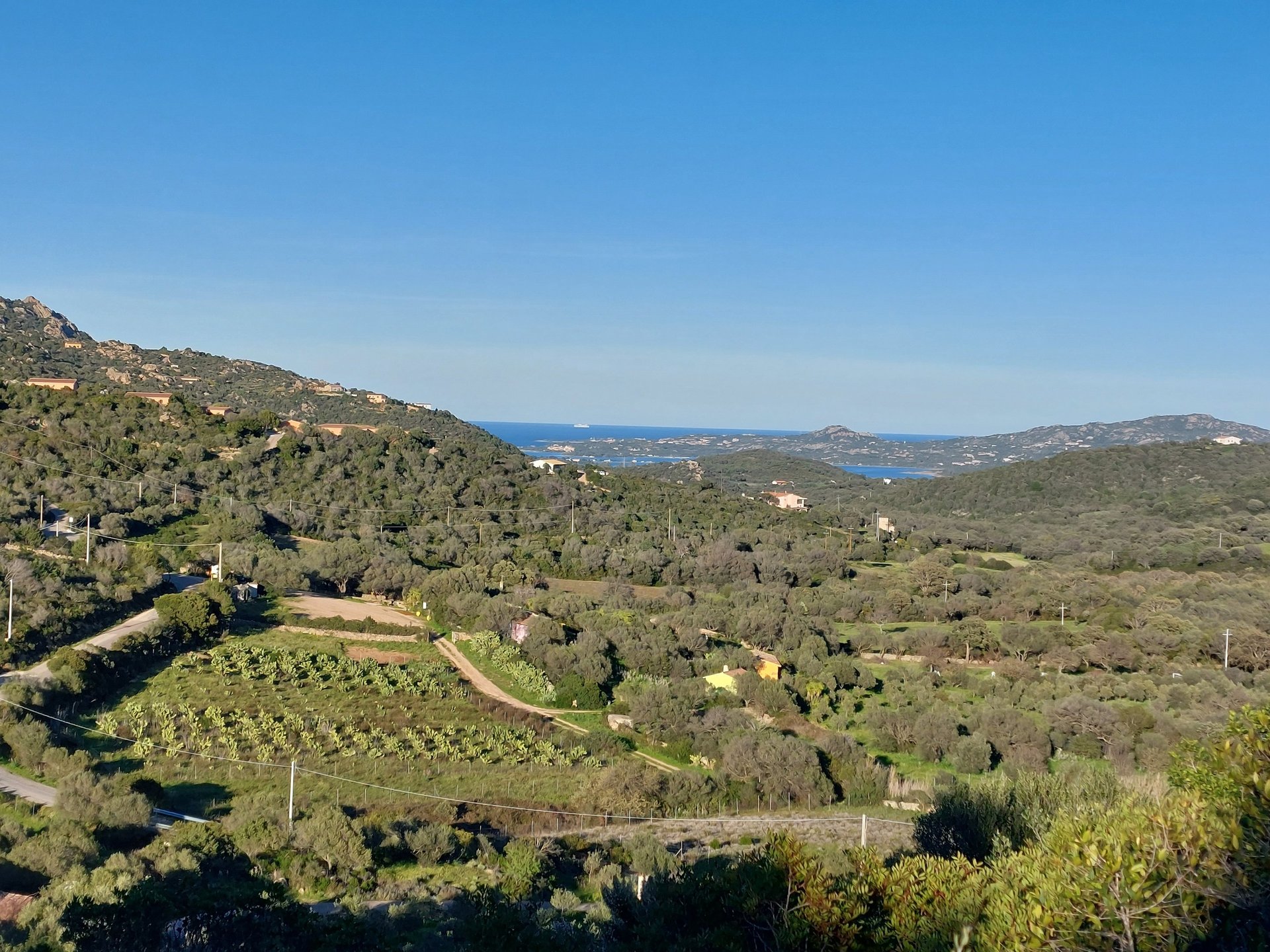 Dipinto dell' Agriturismo Agrisole vicino Olbia e Porto Rotondo