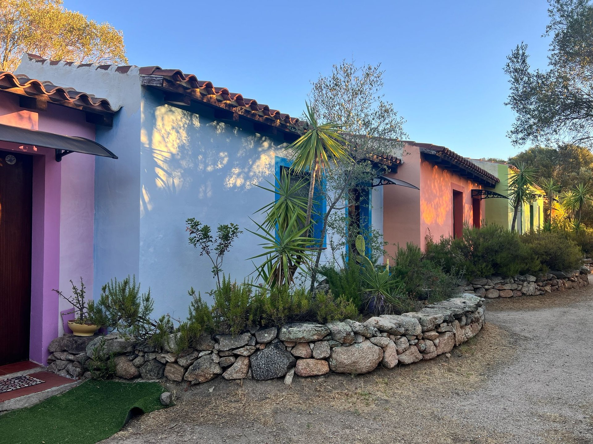 black blue and yellow textile