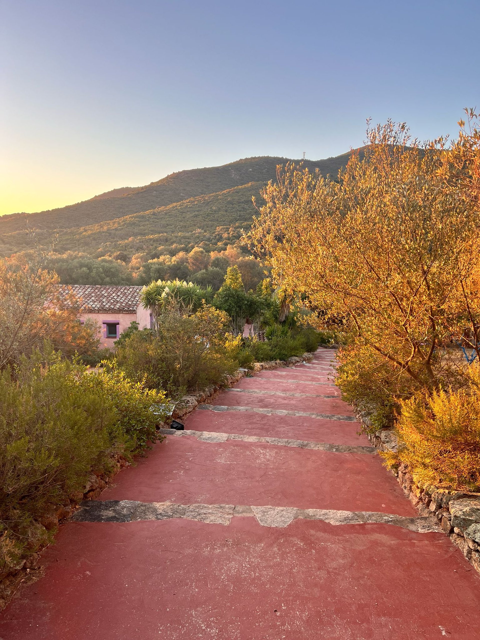 Agriturismo Agrisole near Olbia. View from Sole Ruju overlooking the Gulf of Cugnana