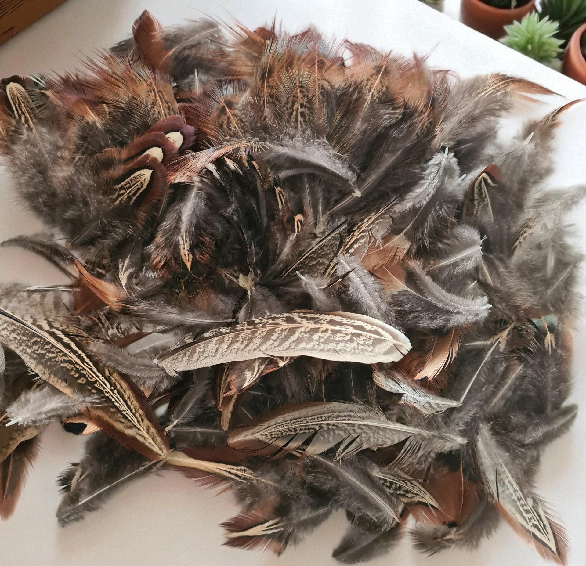 woman holding dried flower