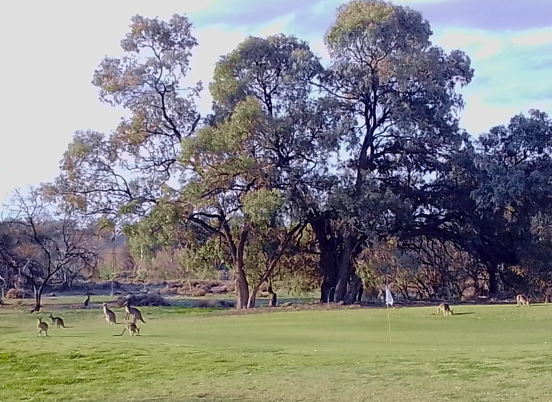 gray computer monitor