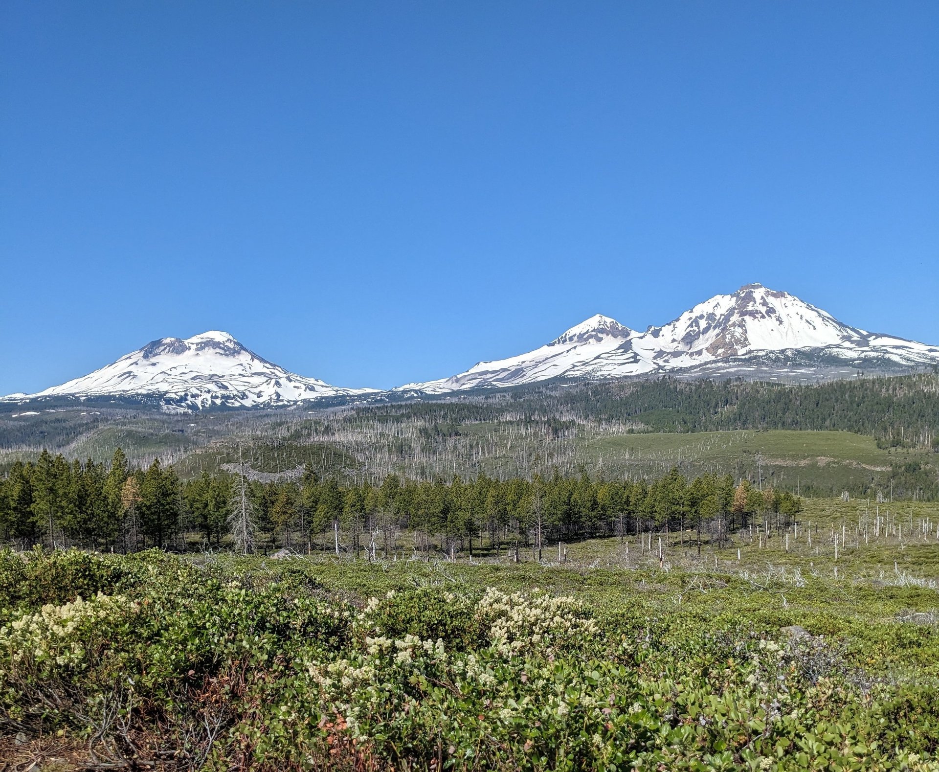 black and brown leather padded tub sofa