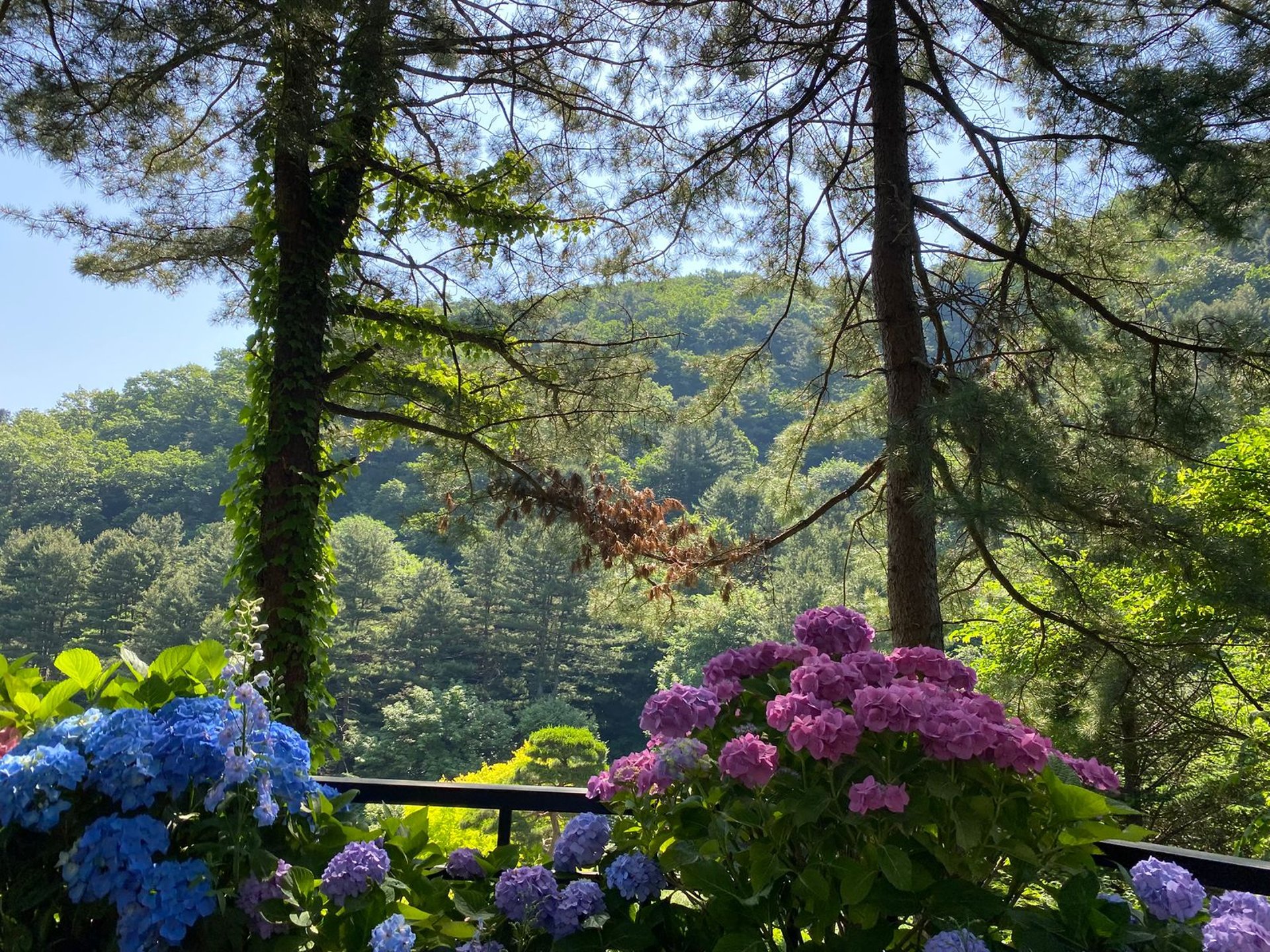 black and brown leather padded tub sofa