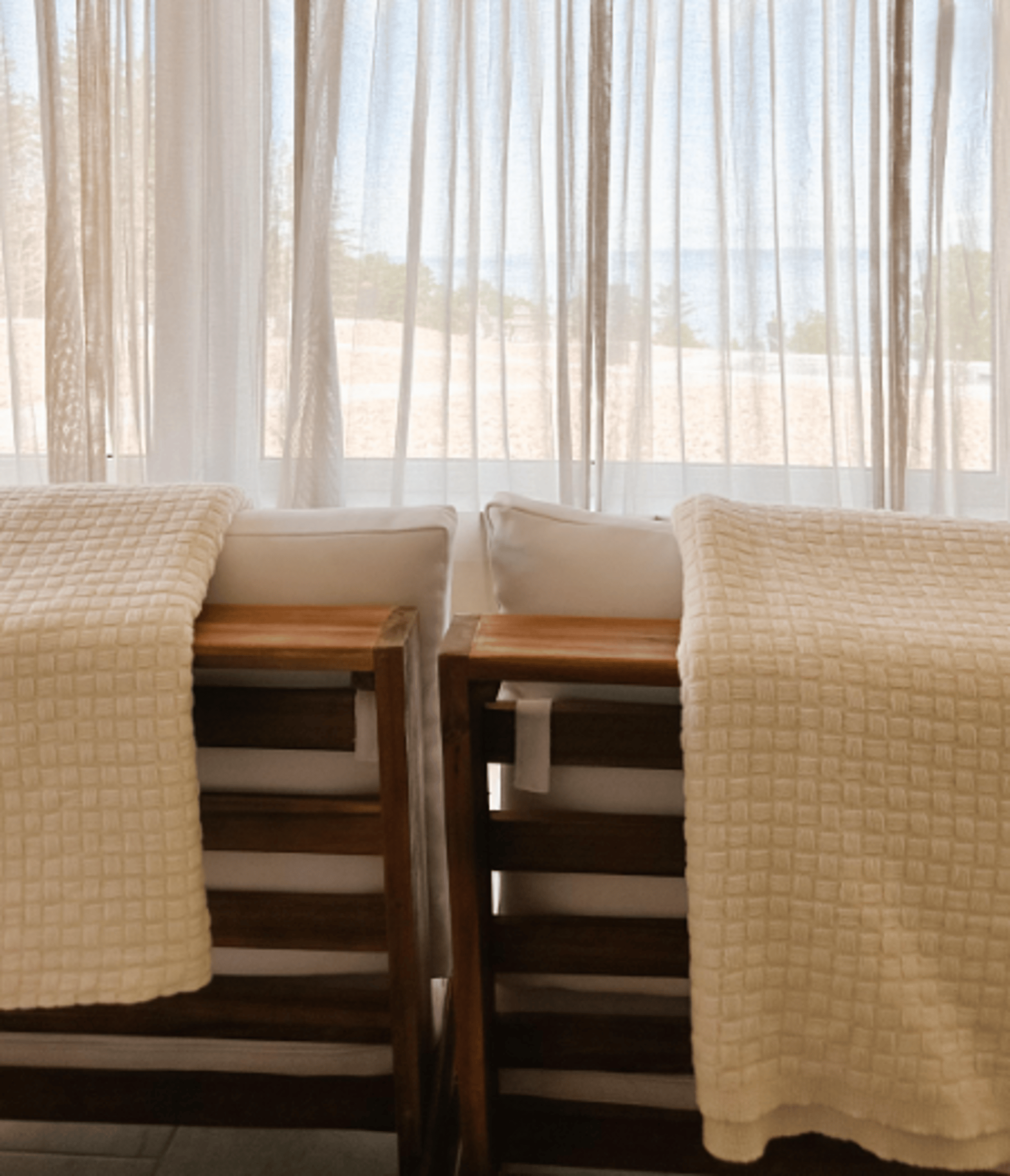 a shadow of a plant on a curtain