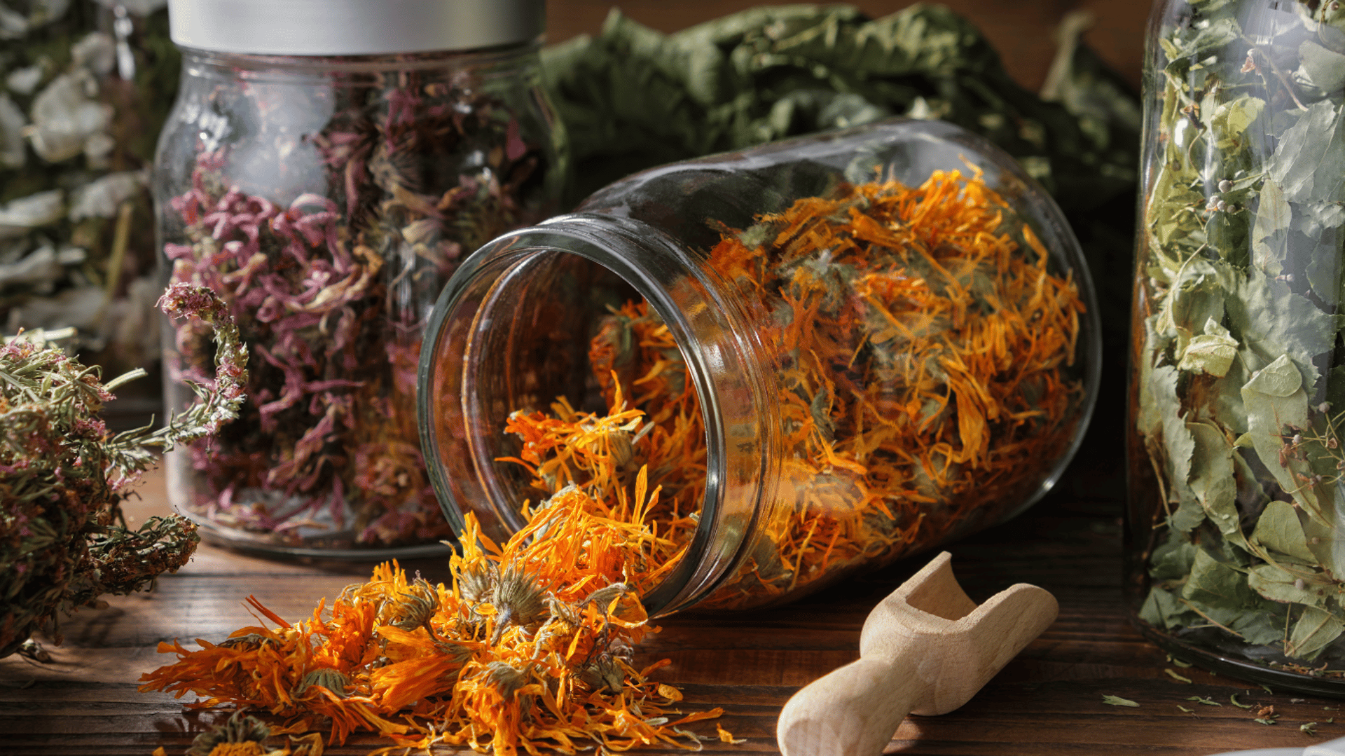 woman holding dried flower