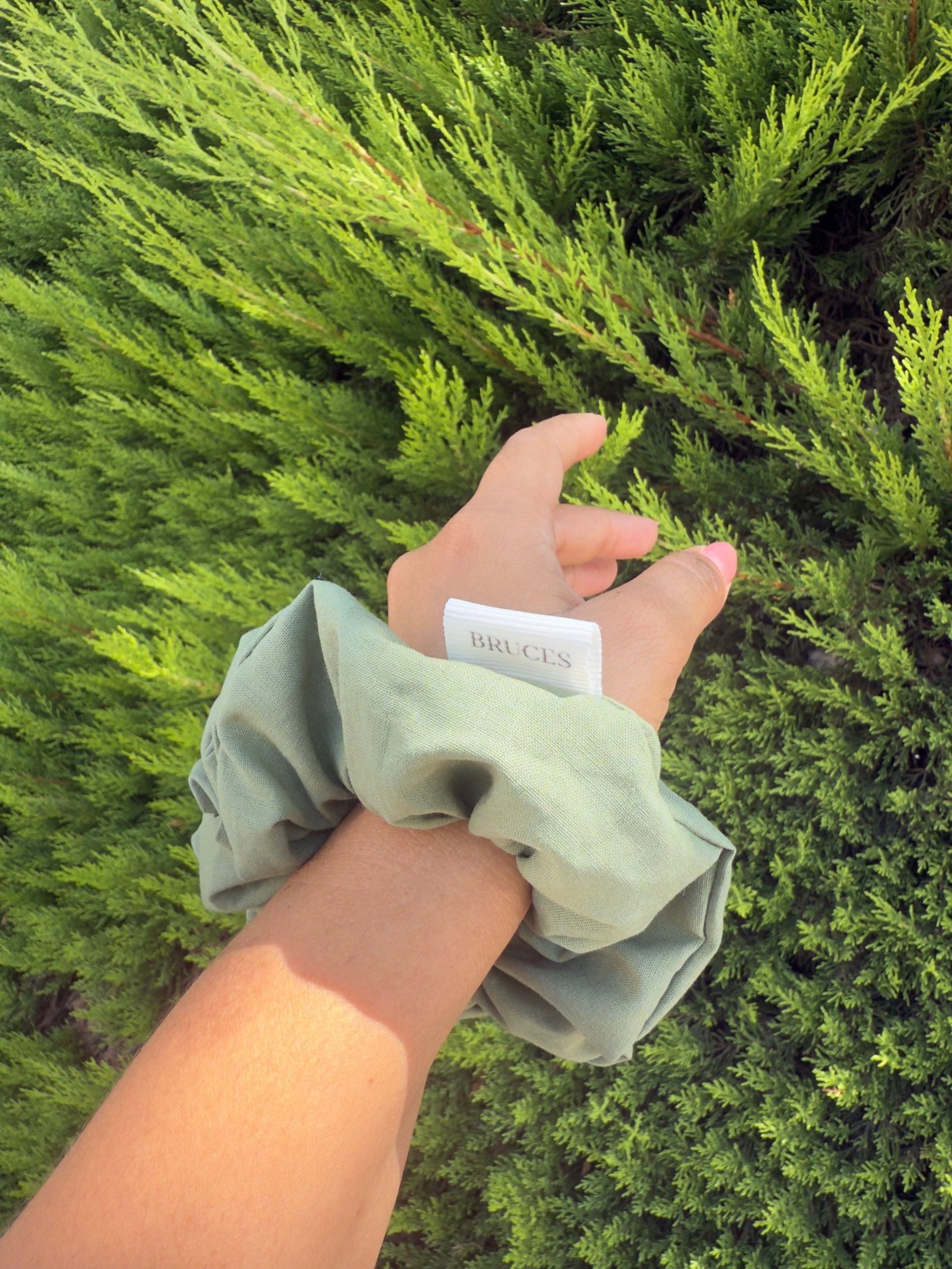 woman holding dried flower