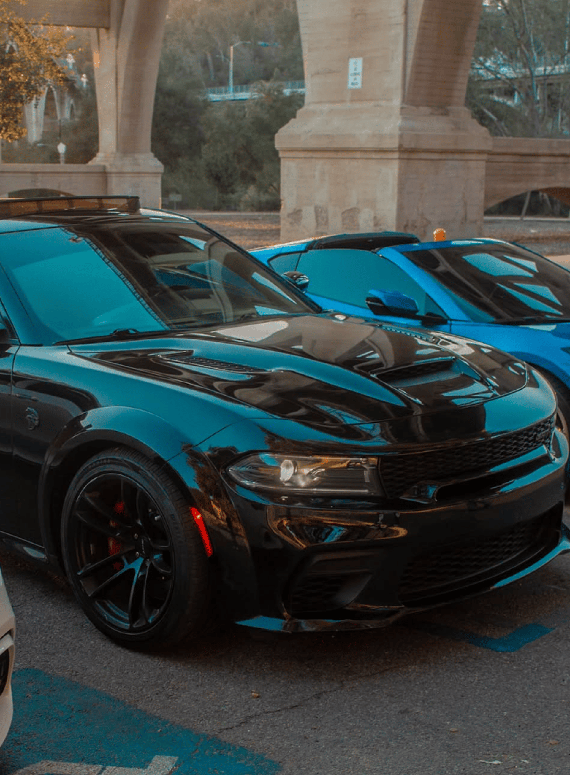 blue Chevrolet smblme