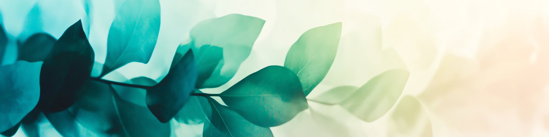 black and brown leather padded tub sofa