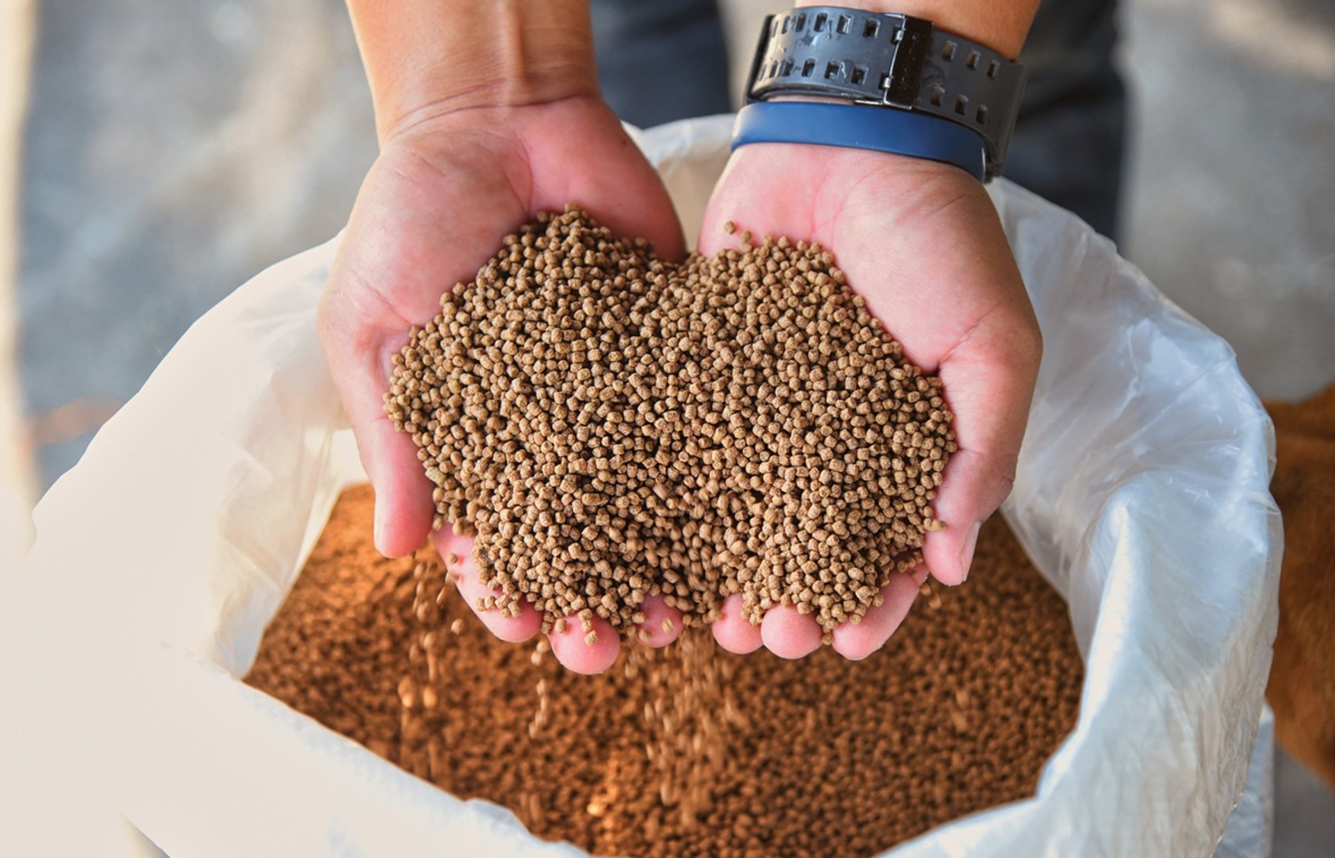 woman holding dried flower