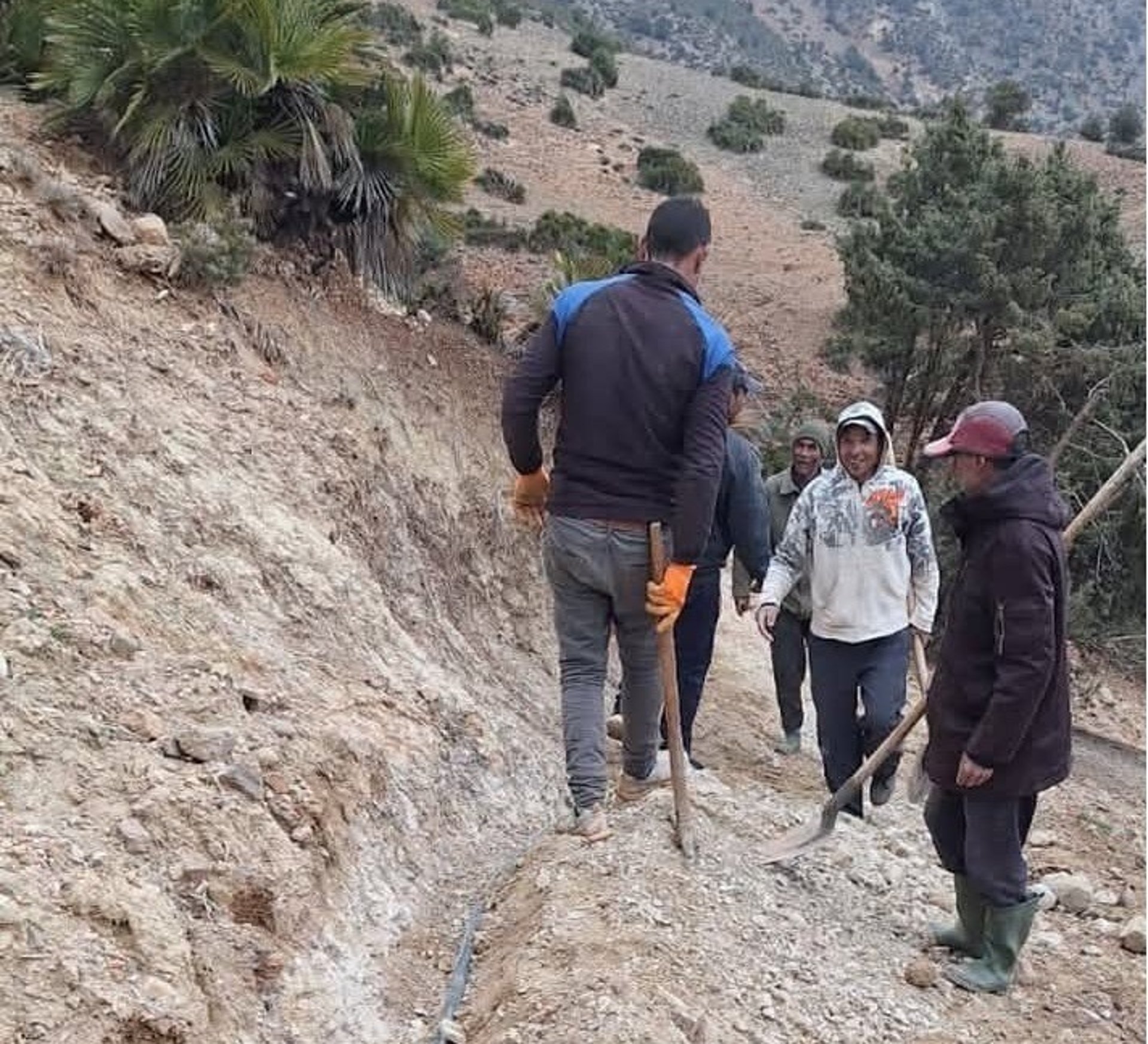 white van on road near mountain during daytime