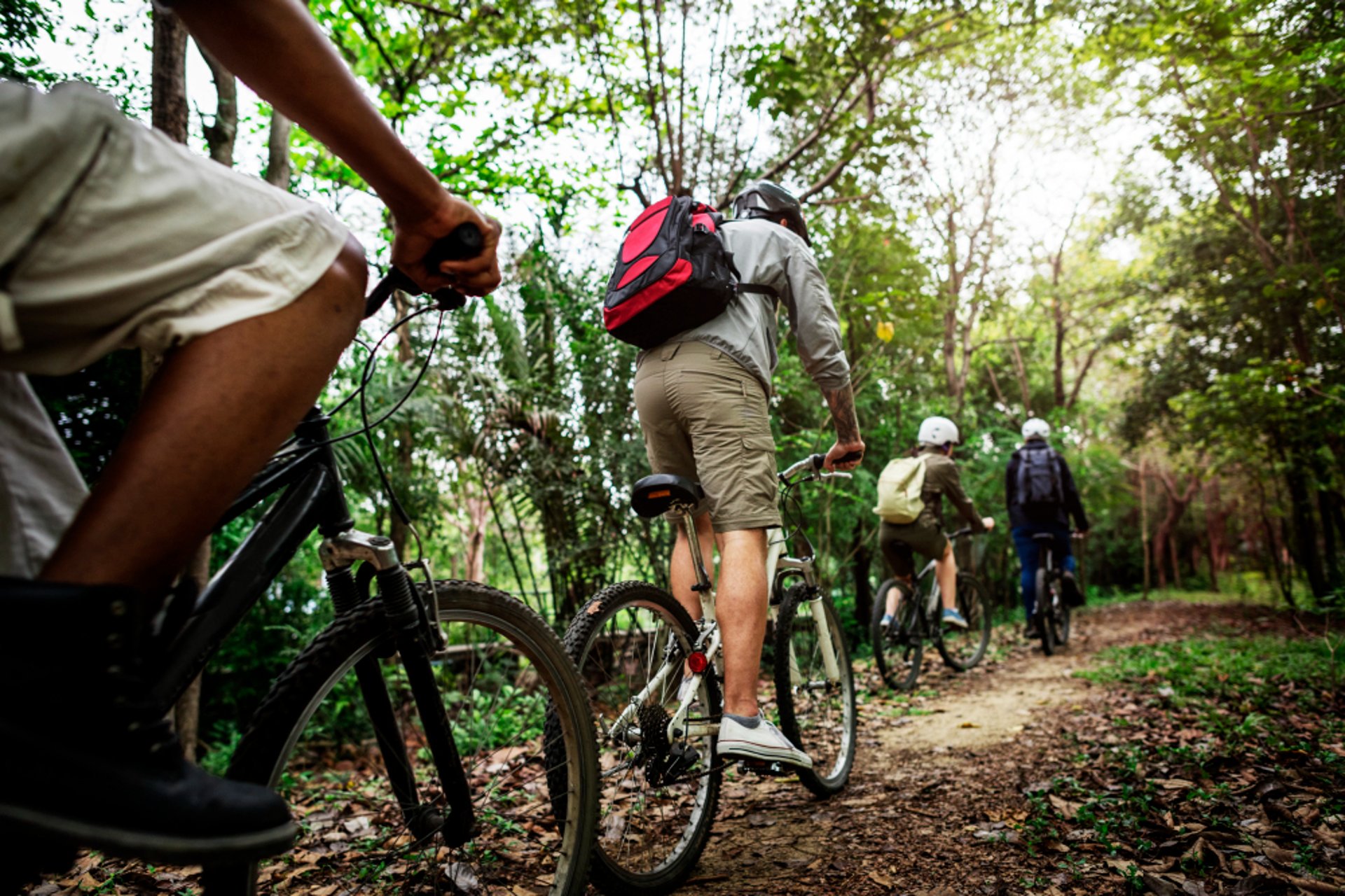 Sortie en vélo au parc régional des ardennes