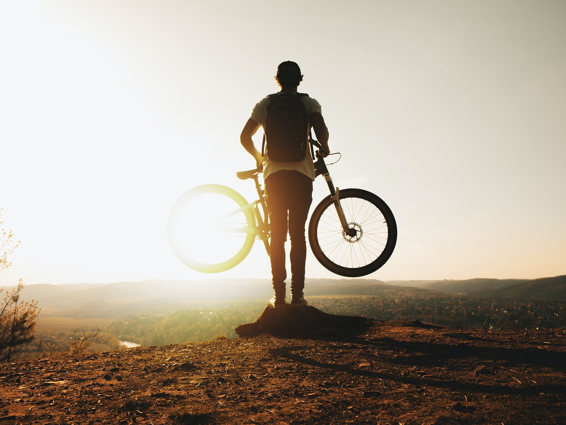 alquiler de bicicletas