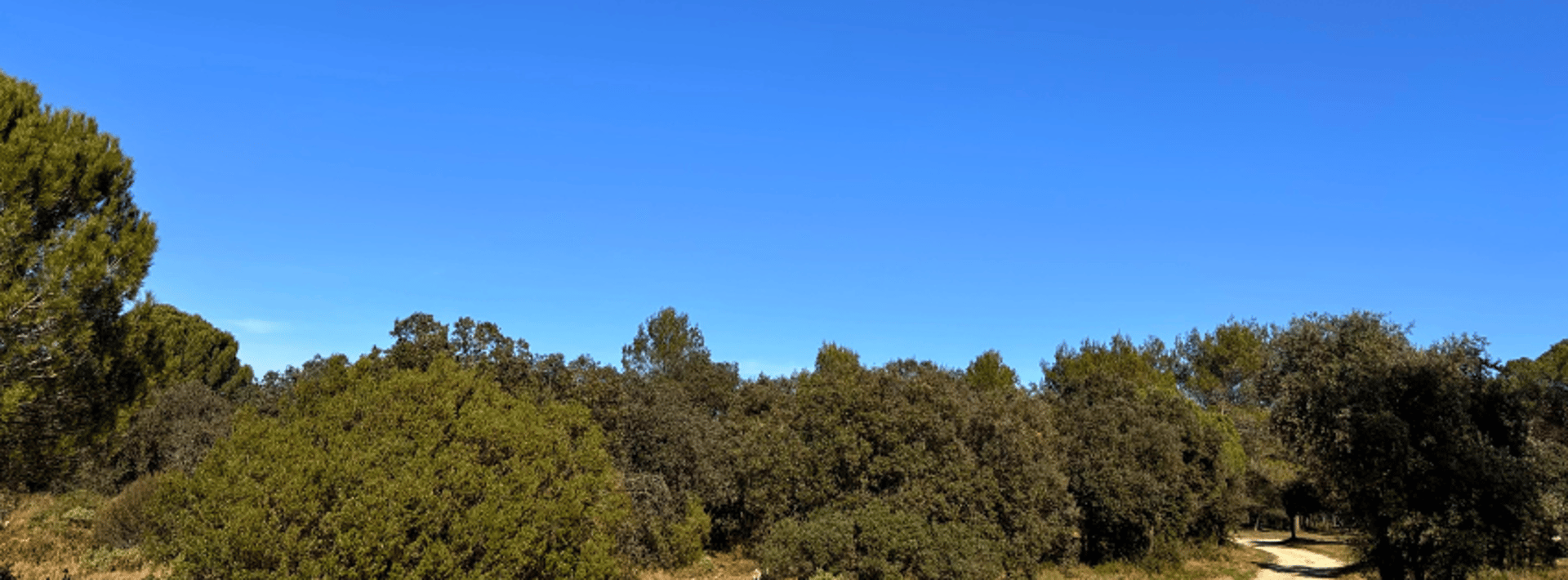 Clos Gaillard Nîmes