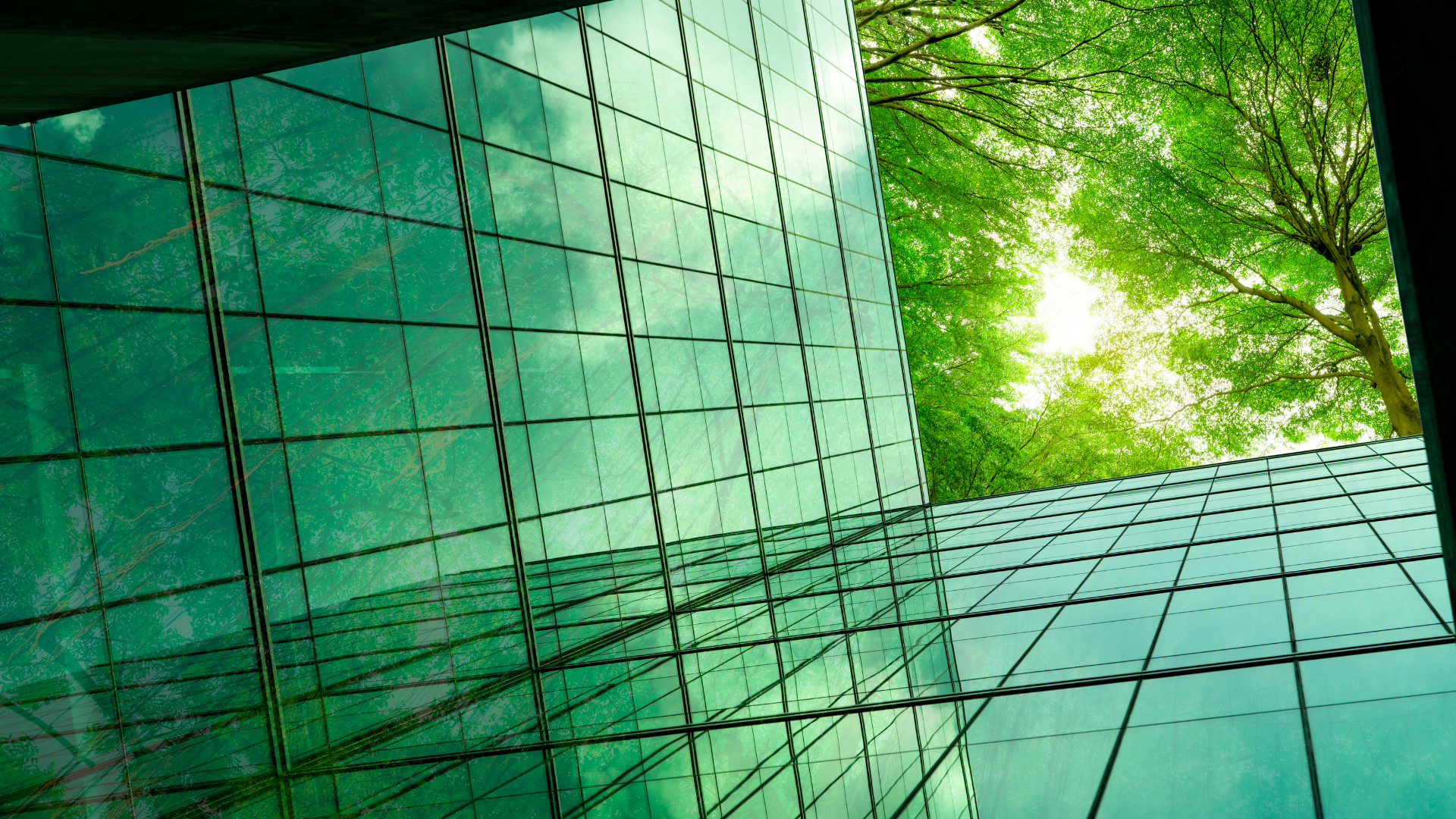 an abstract photo of a curved building with a blue sky in the background