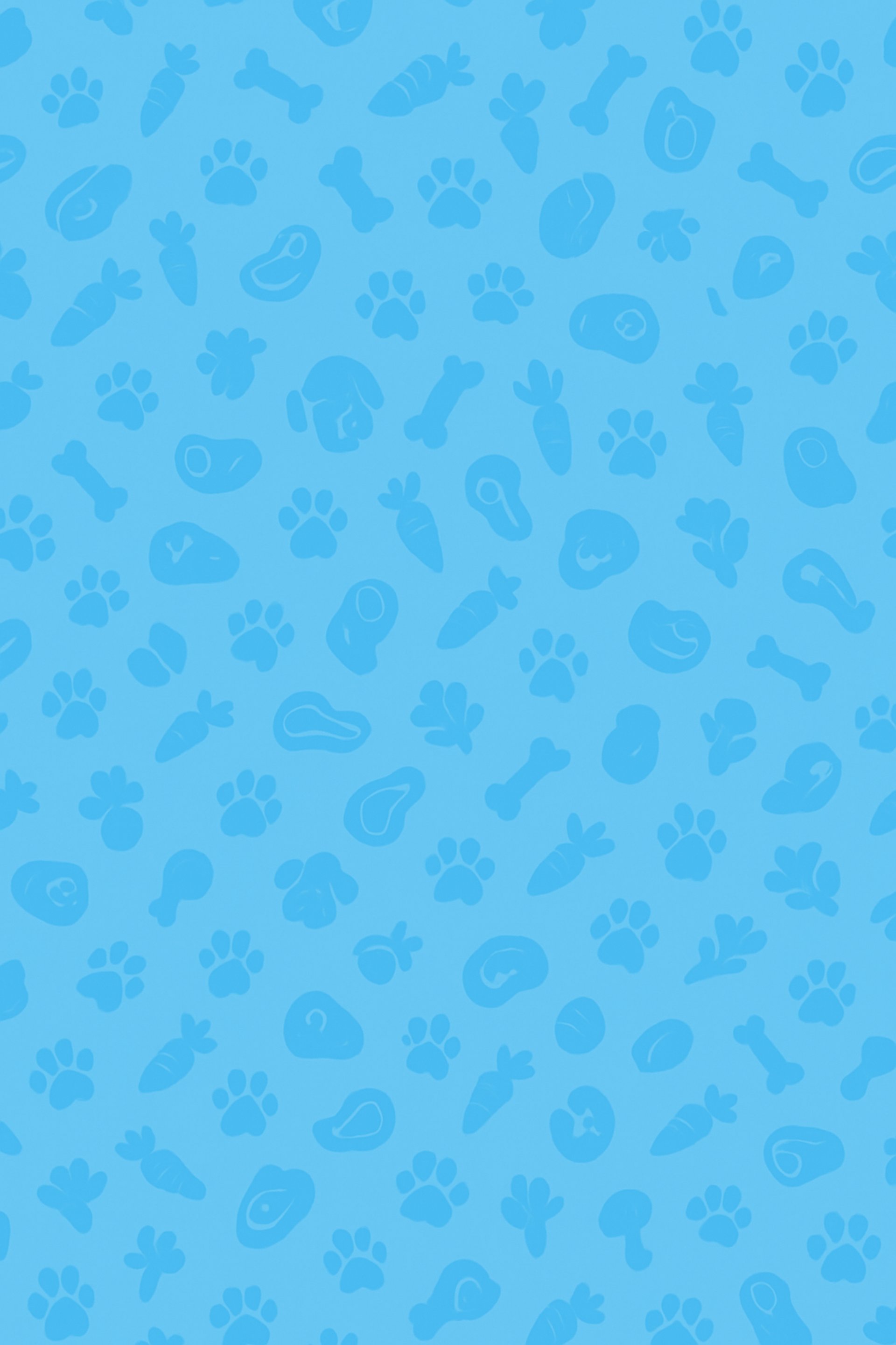 two dogs sitting on maroon area rug