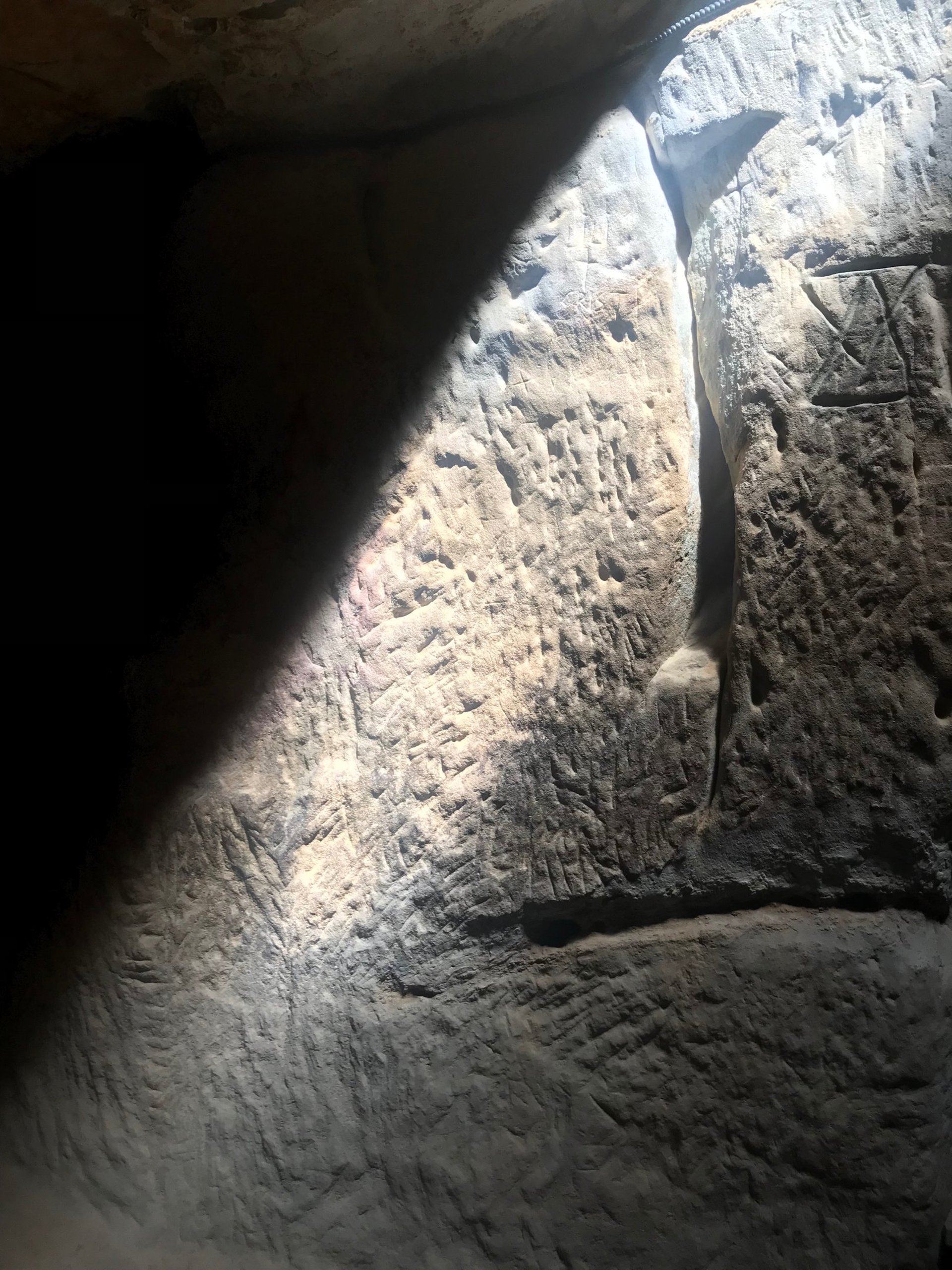 shallow focus photography of white feather dropping in person's hand