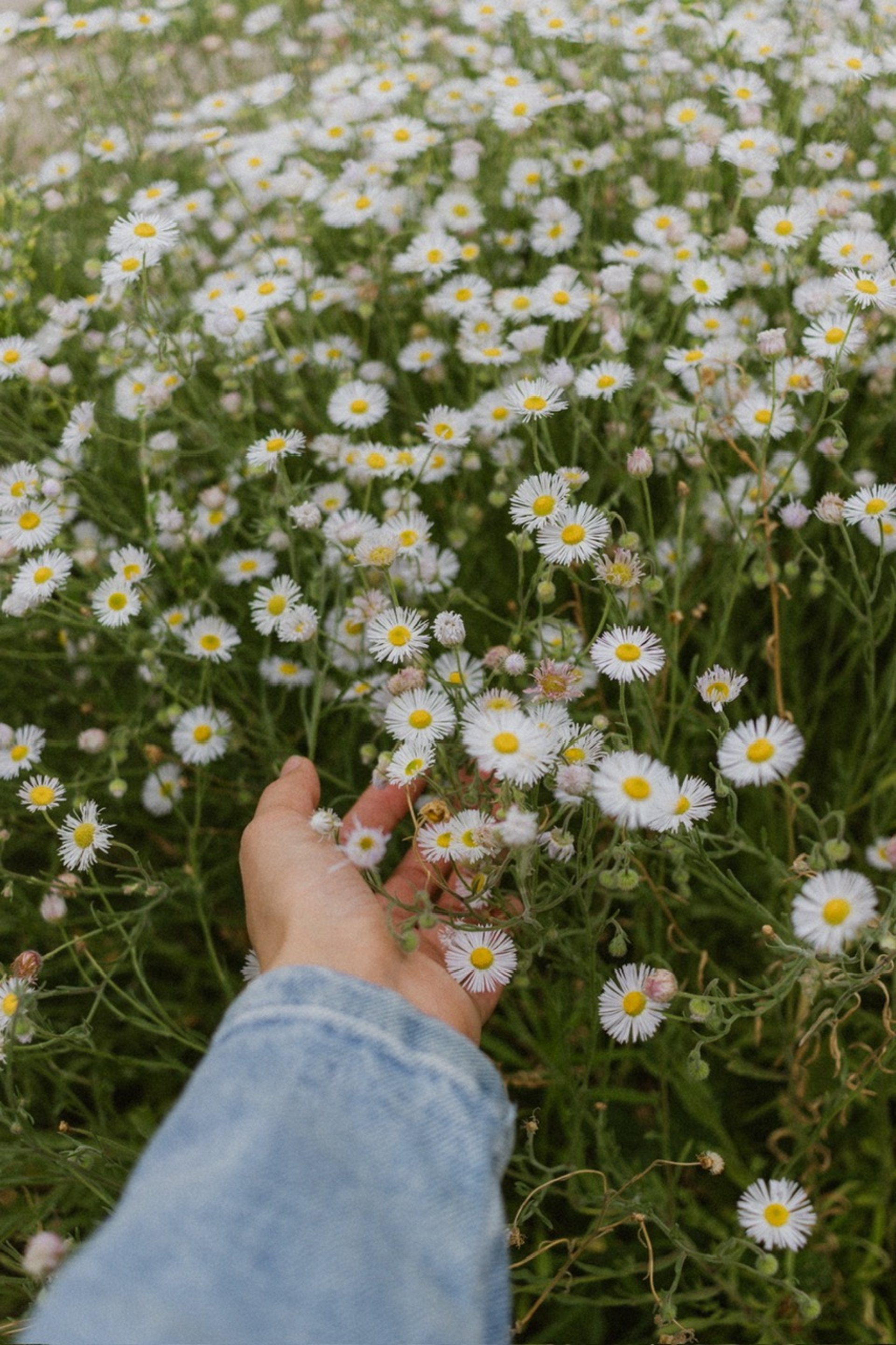 black blue and yellow textile