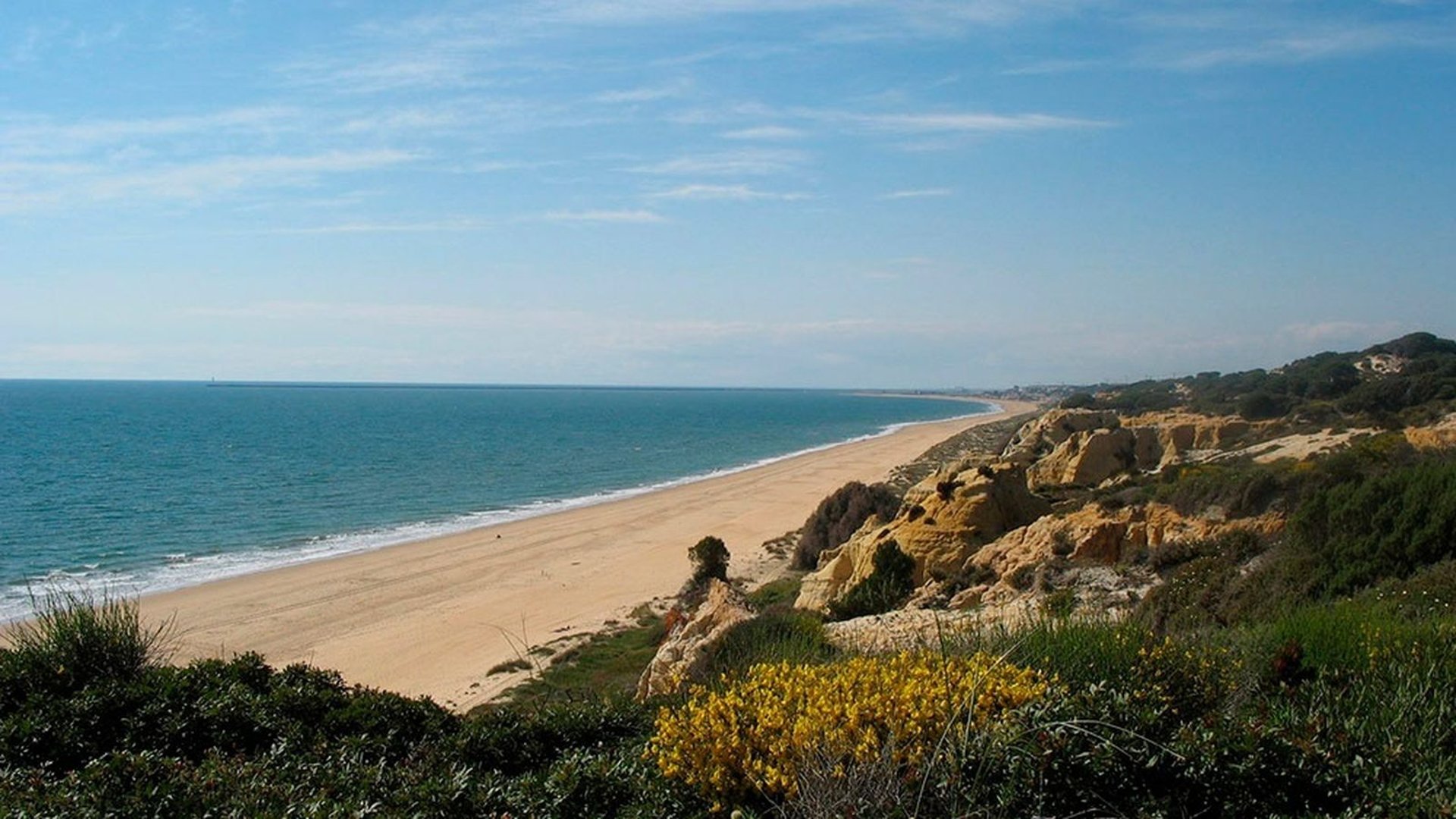 a very tall red building with lots of windows