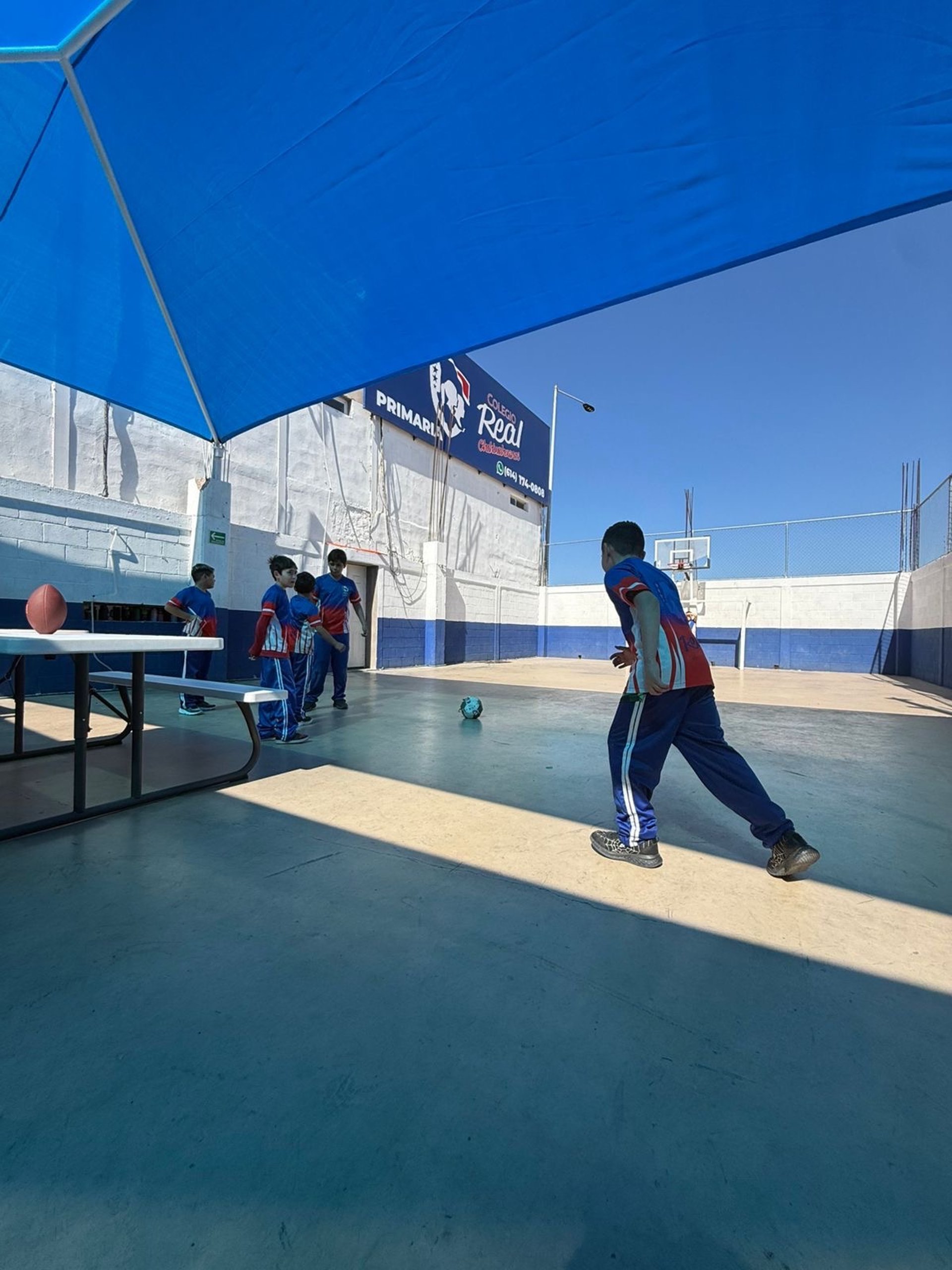 black and brown leather padded tub sofa