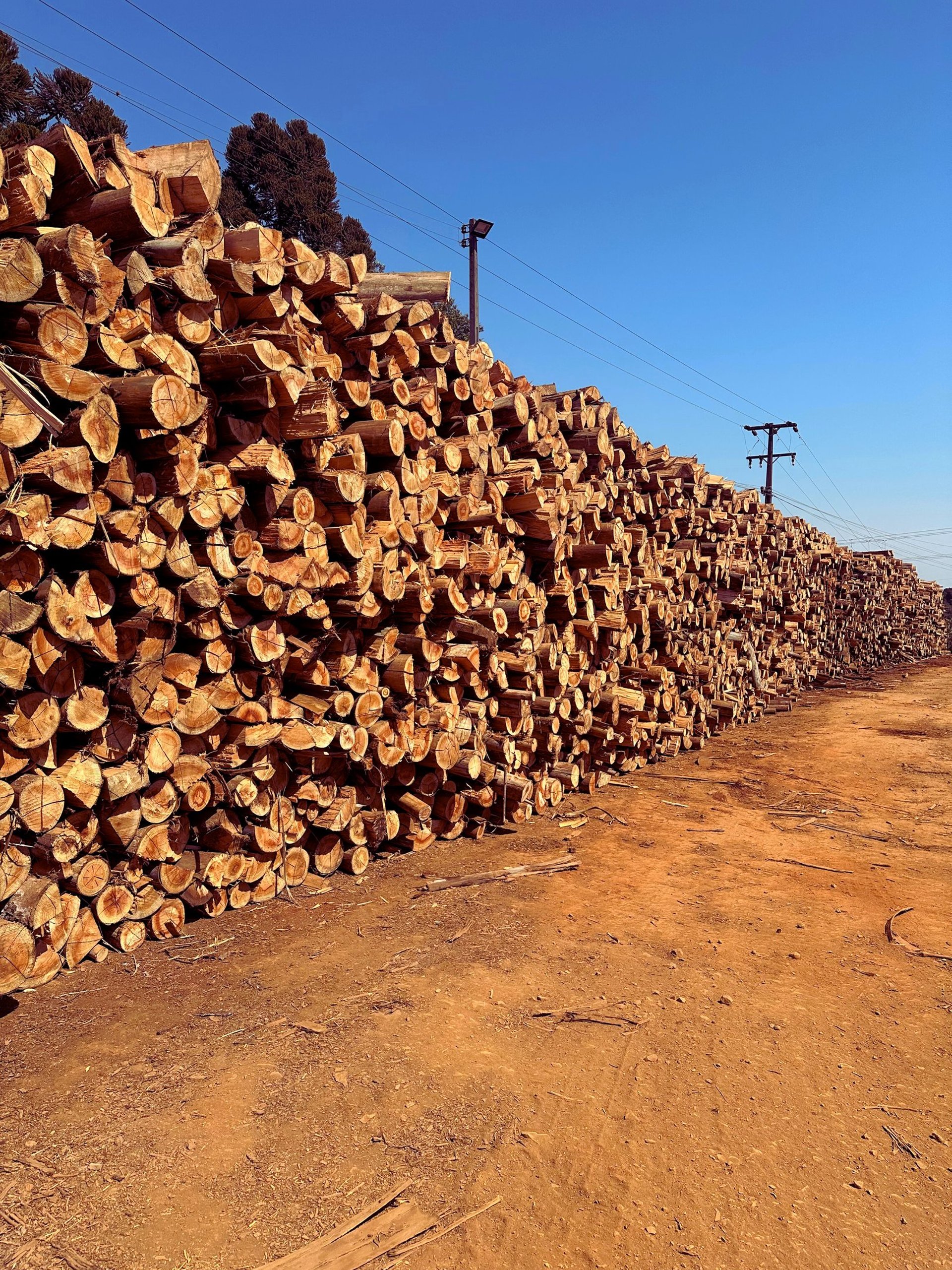 black and brown leather padded tub sofa