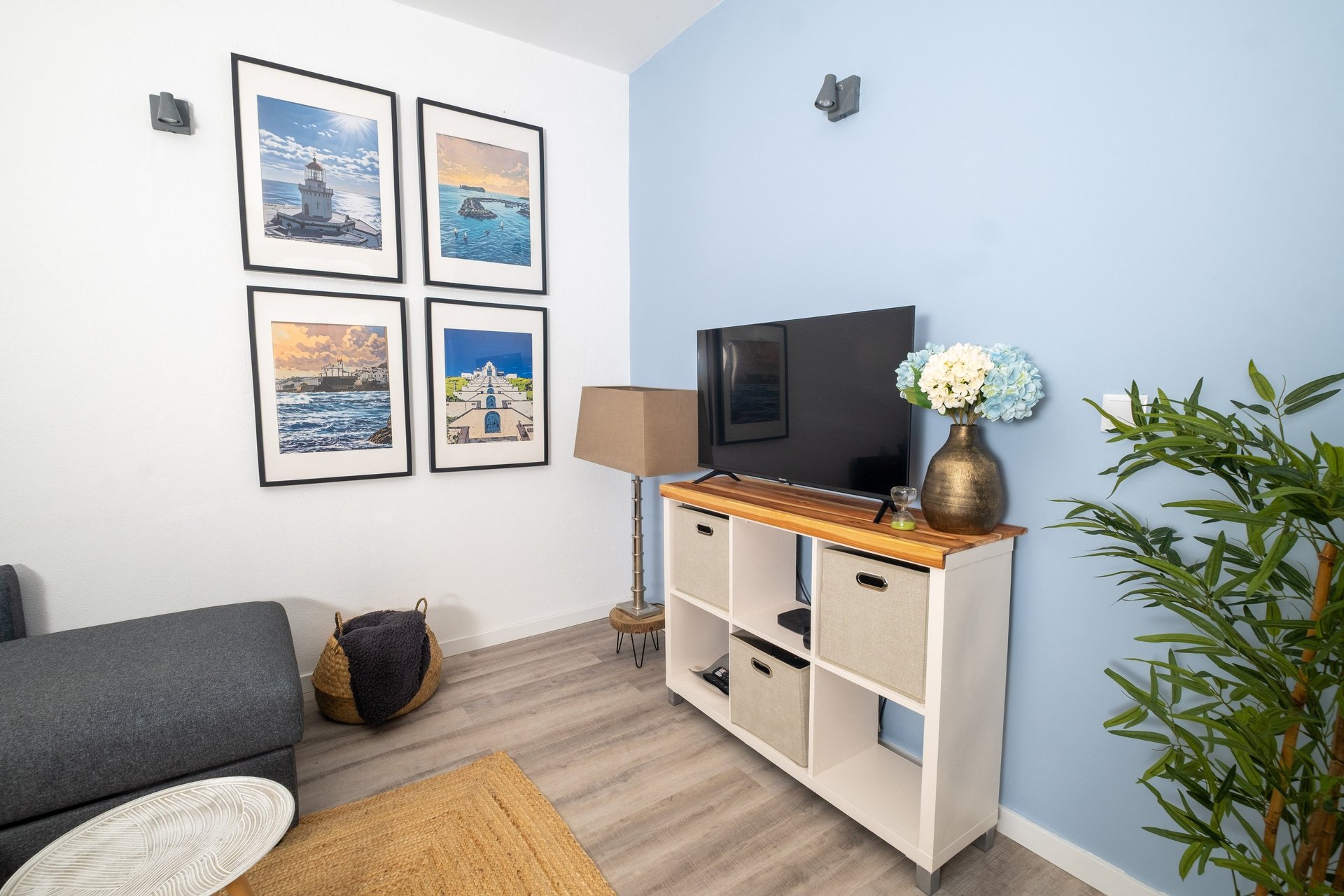 Quinta Sao Roque Hydrangea