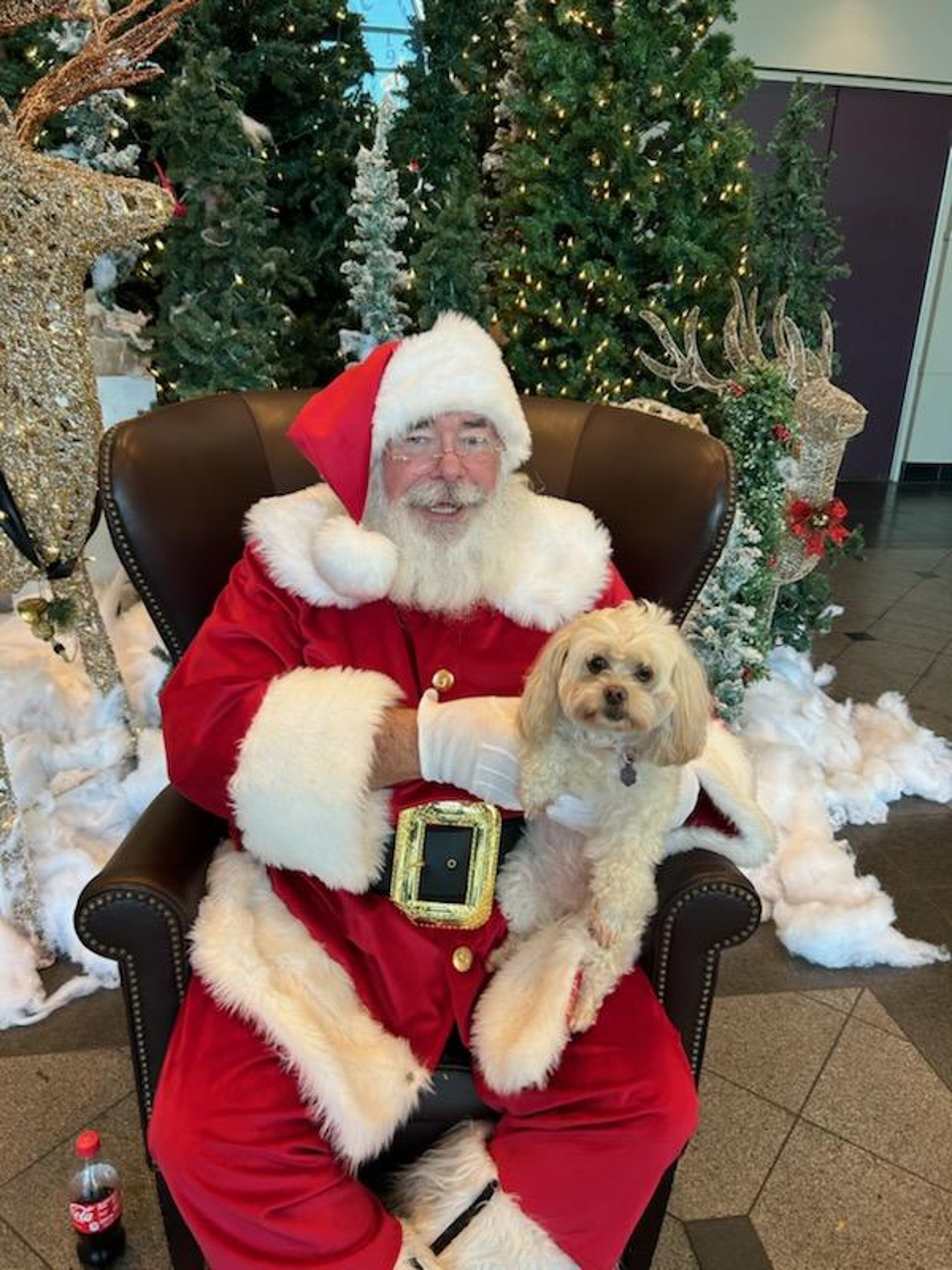 The Cowboy Santa with a furry friend 2024