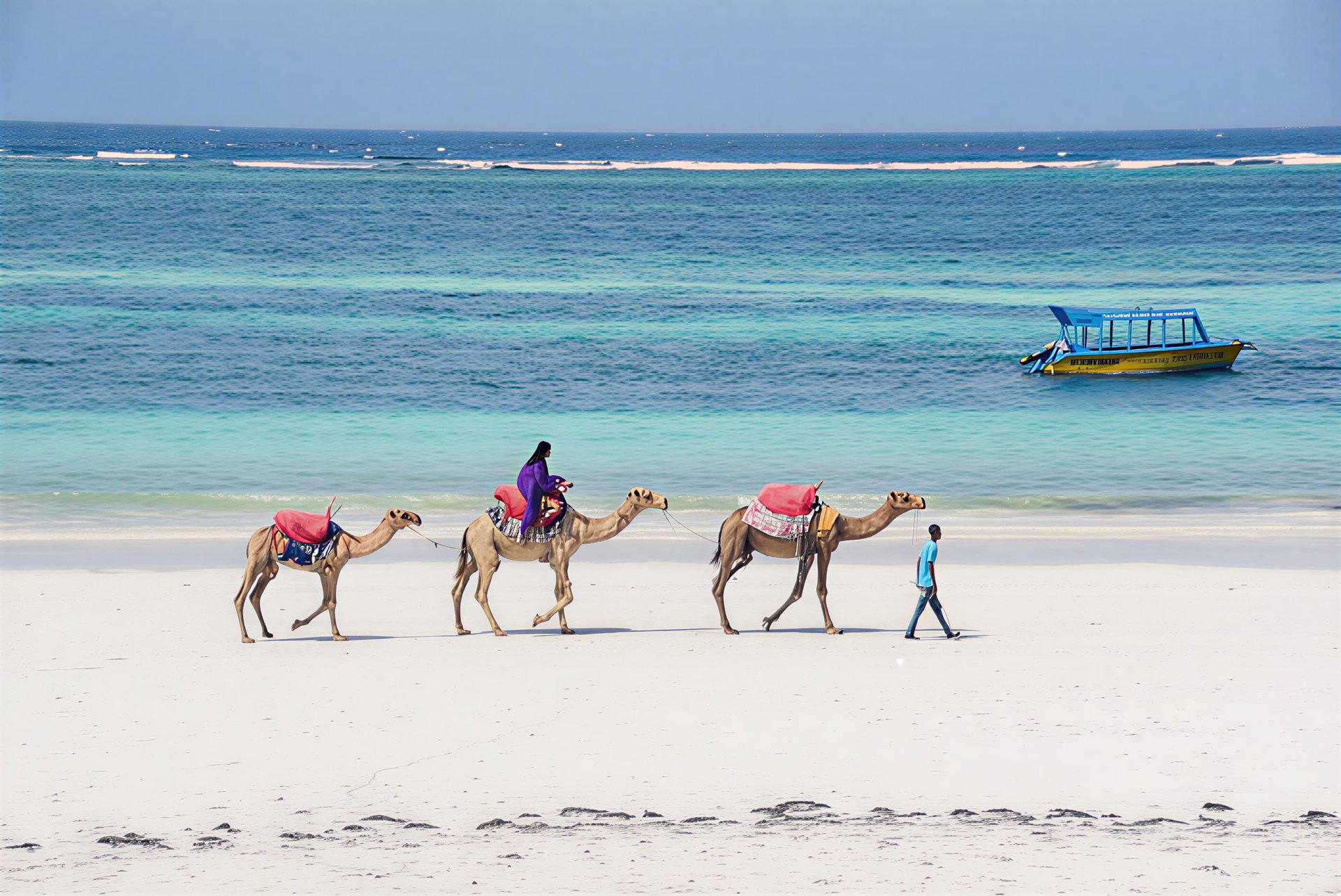 seashore during golden hour