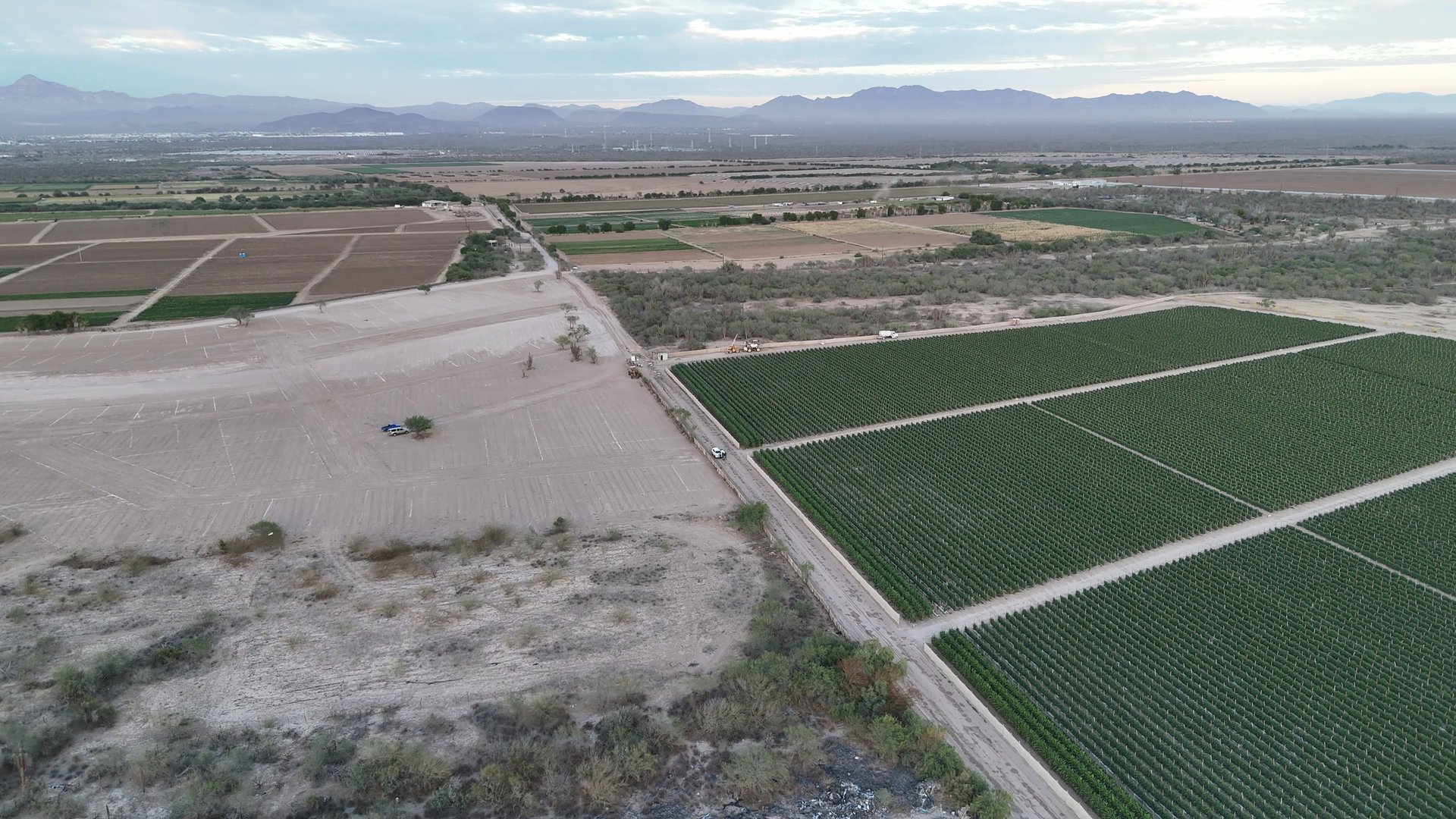 terrenos, la paz, bcs, zona aeropuerto, proyecto aviación, terrenos bcs. sembradios, zona agrícola, inversion, compra de lot