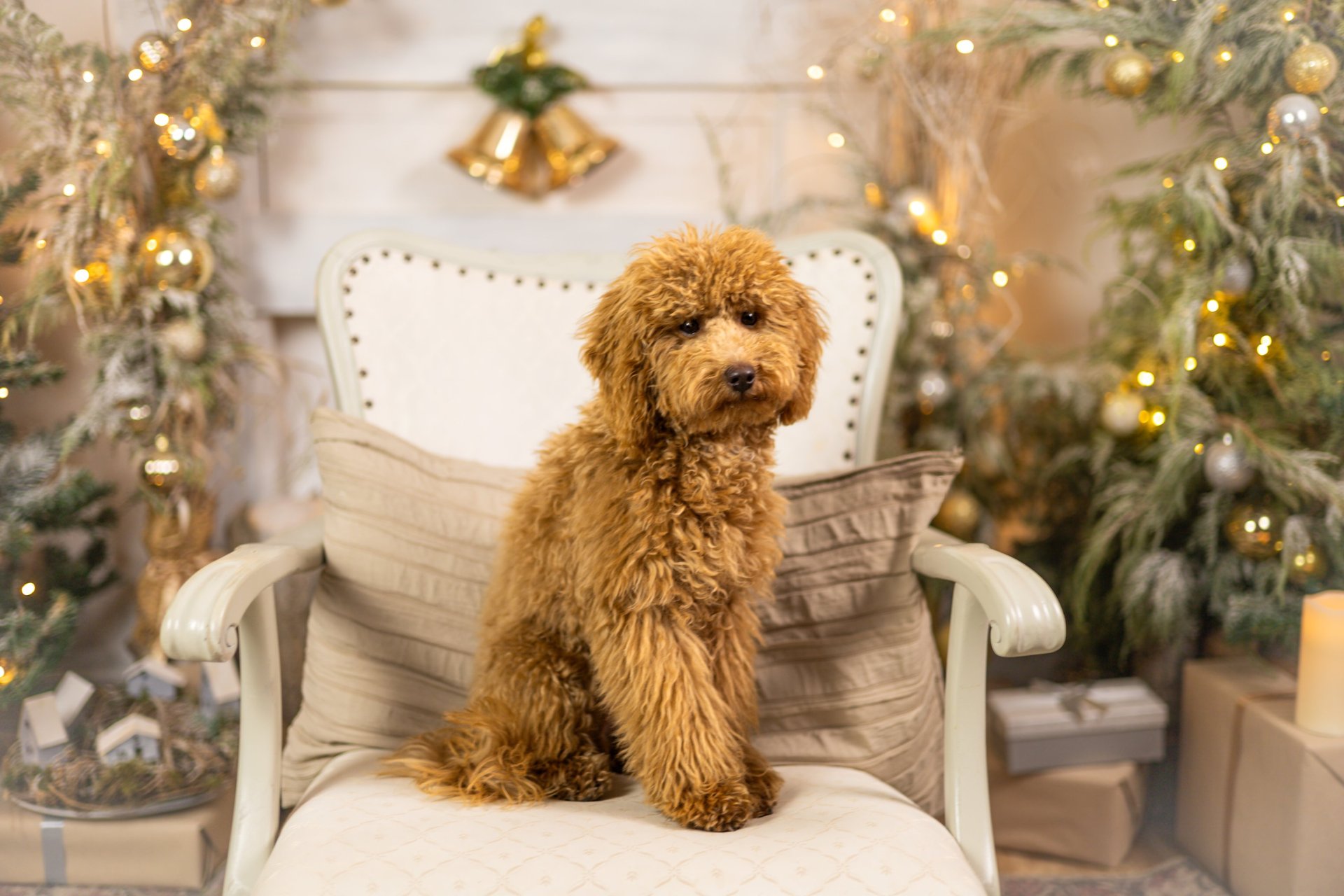 an abstract photo of a curved building with a blue sky in the background