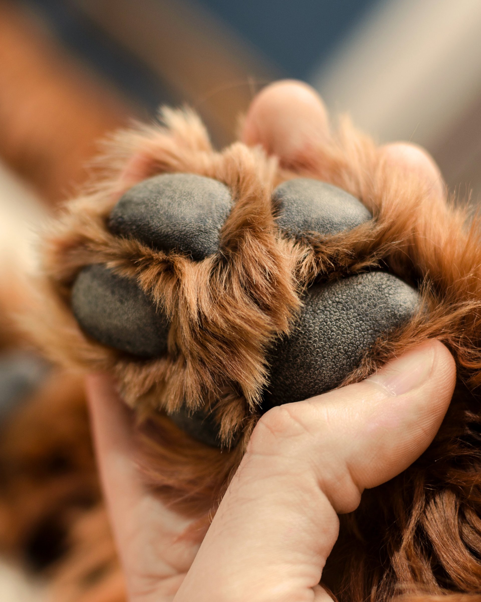 an abstract photo of a curved building with a blue sky in the background