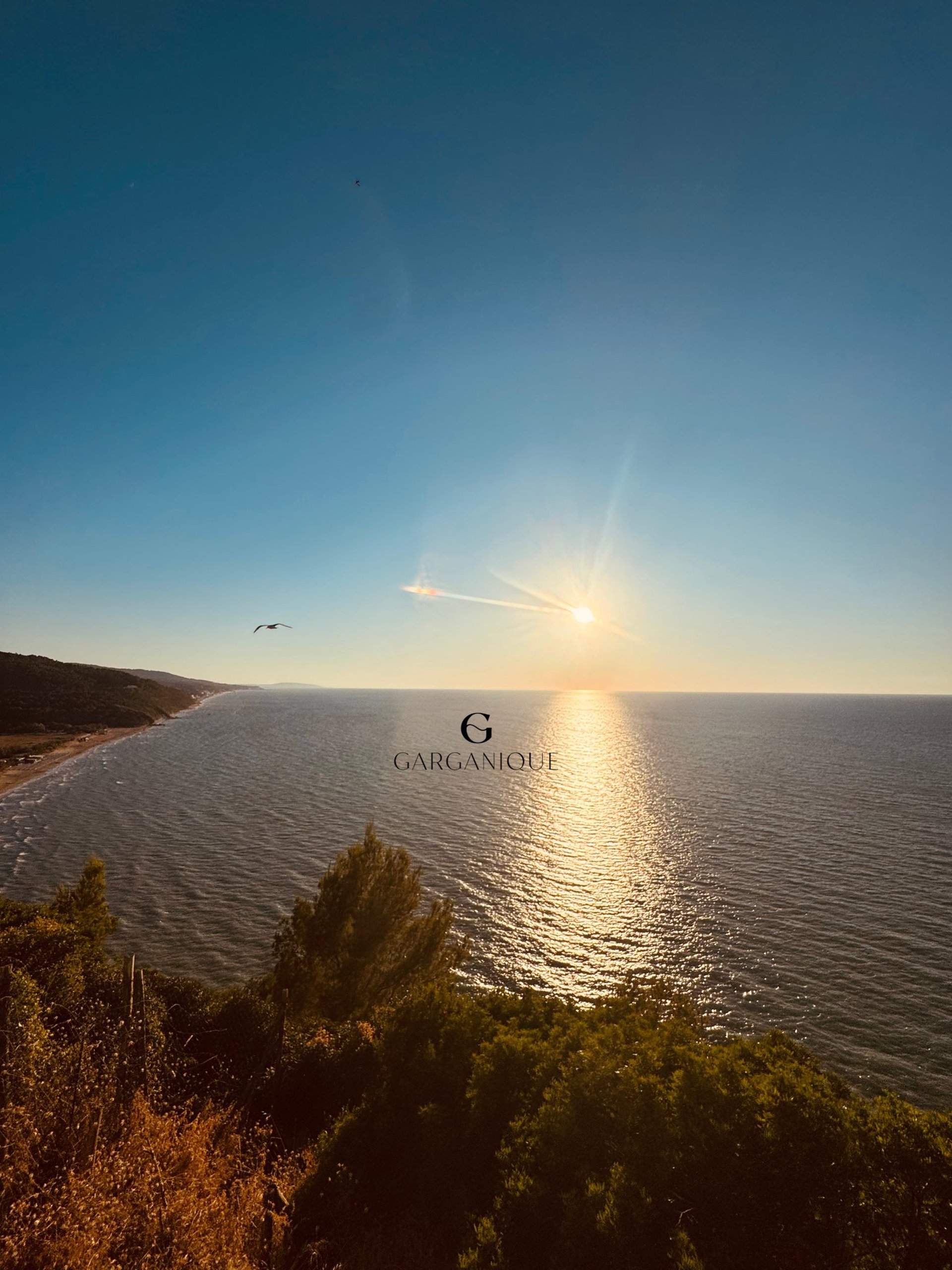 mountain range under blue sky