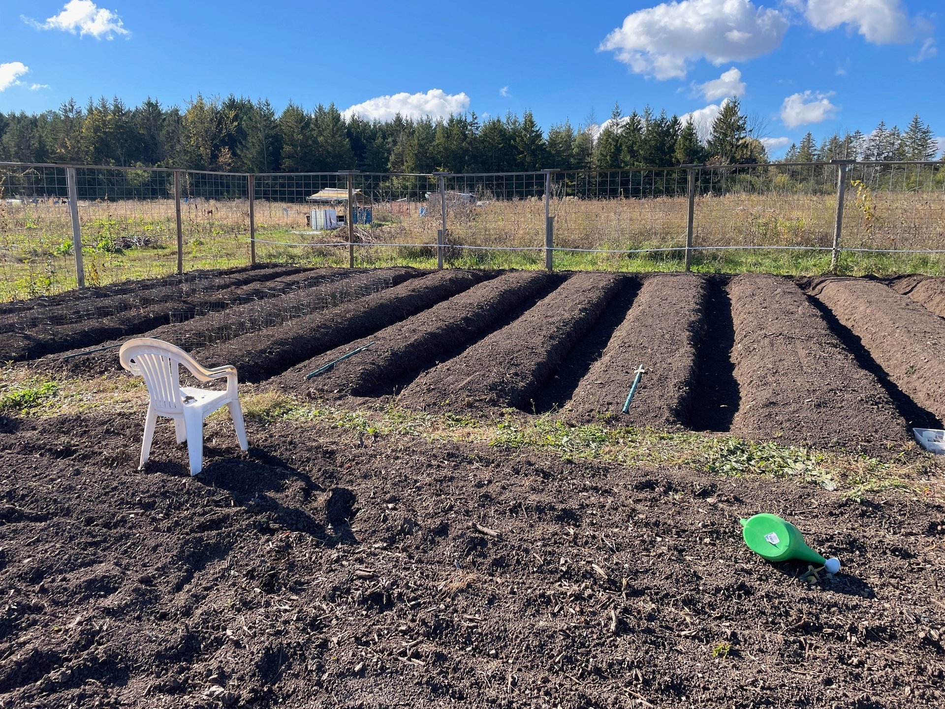 black and white bed linen
