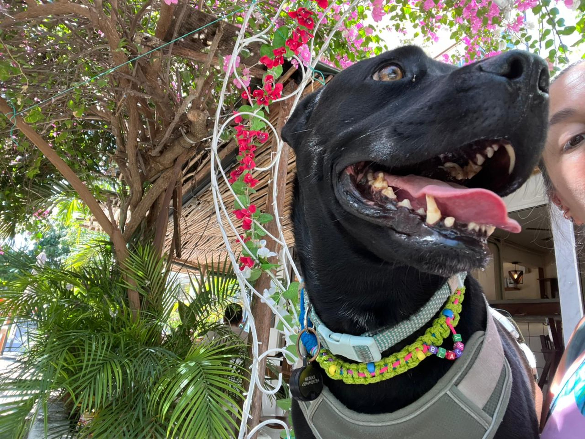 black and white bed linen