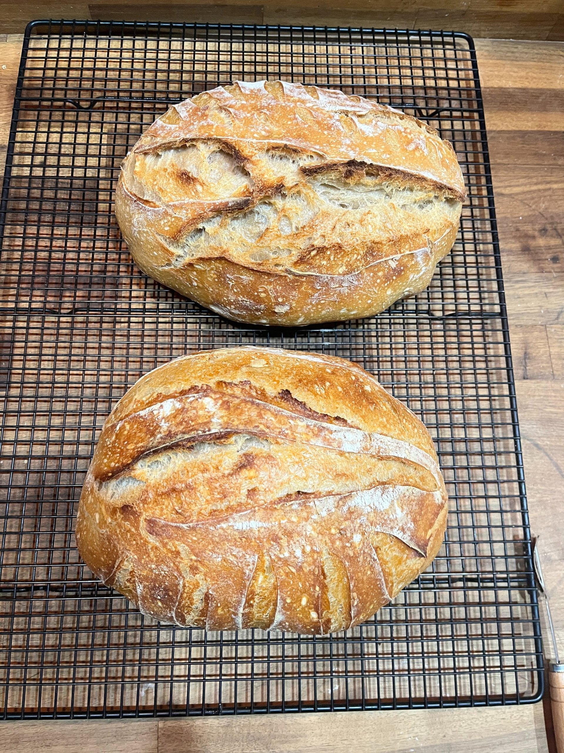 person wearing grey knit sweater