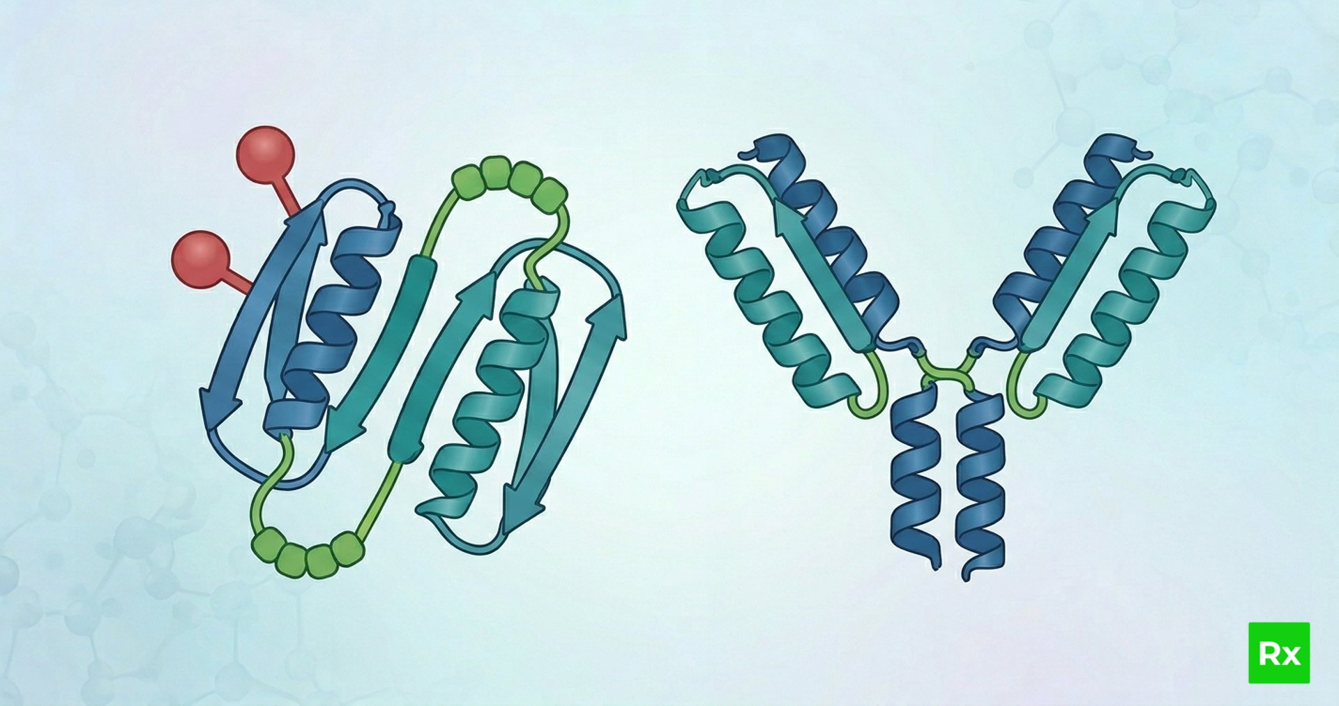 an image of a jellyfish in the dark