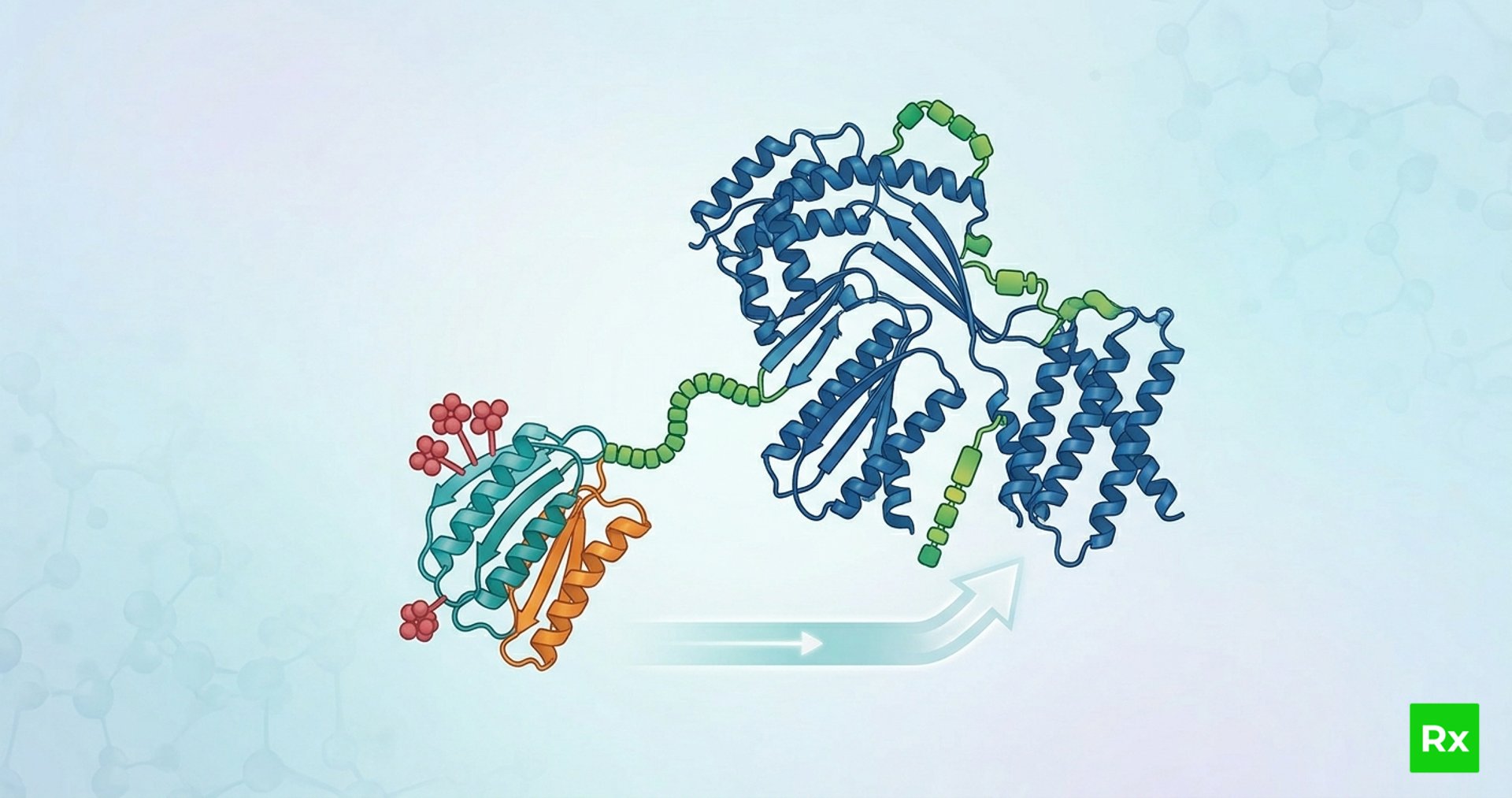 an image of a jellyfish in the dark