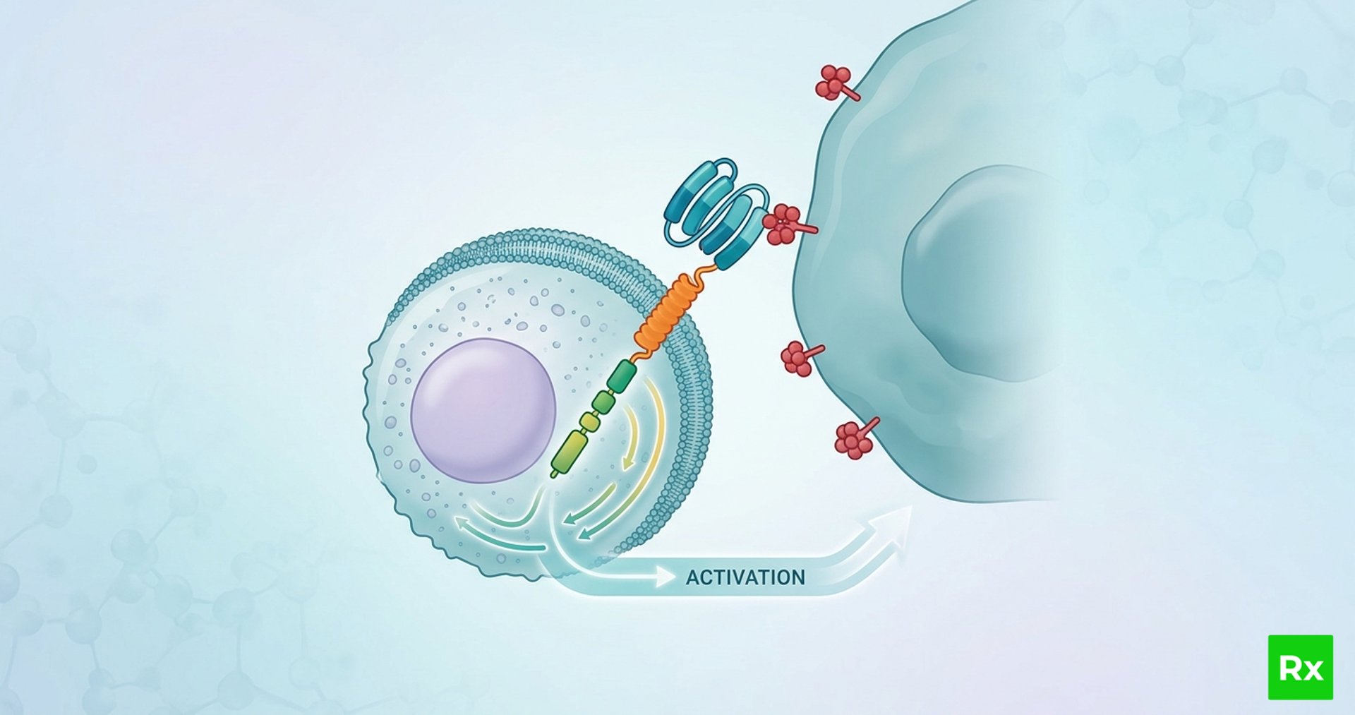 an image of a jellyfish in the dark